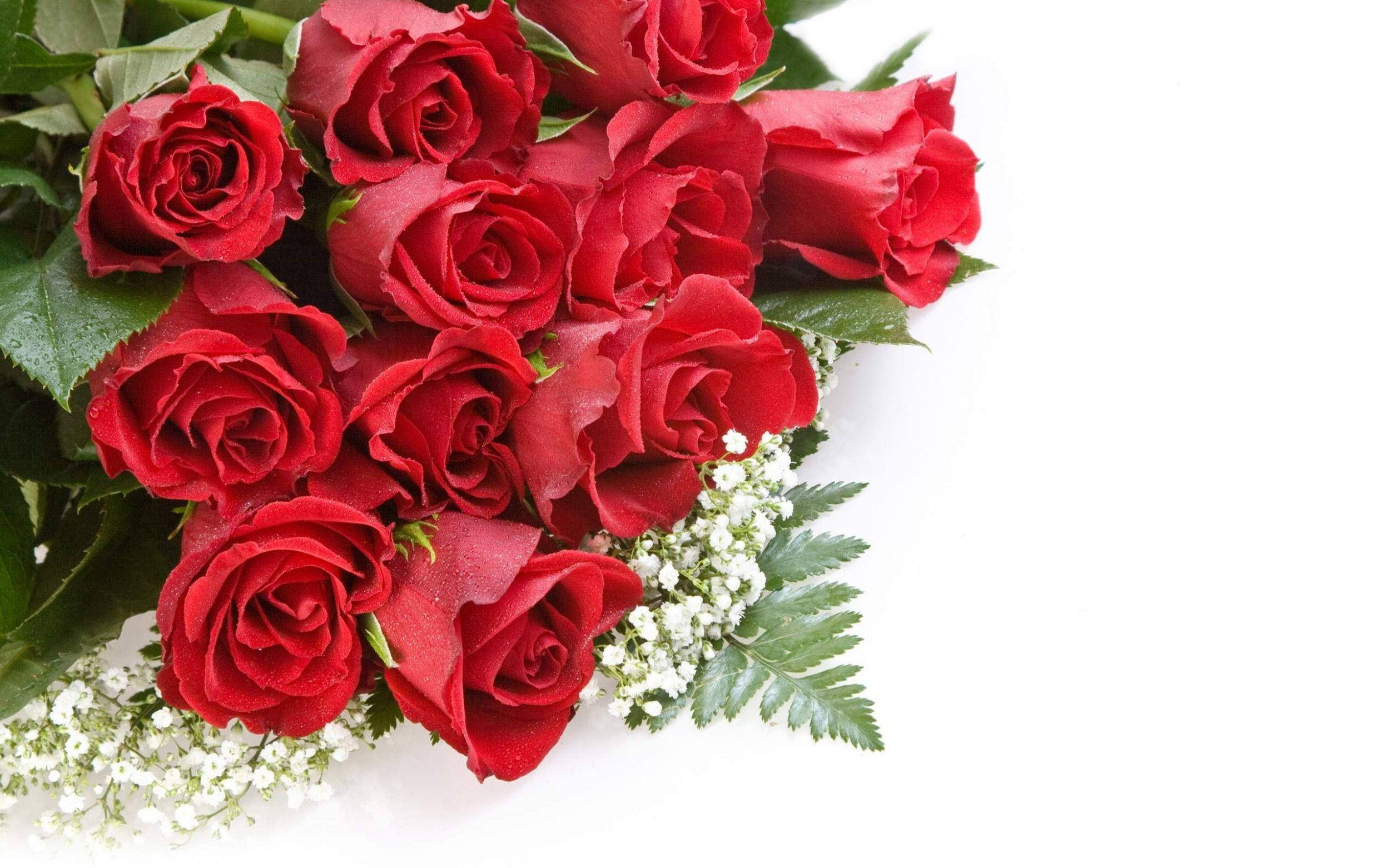 Beautiful Rose HD, vibrant red roses, green leaves, Full HD Desktop Wallpaper