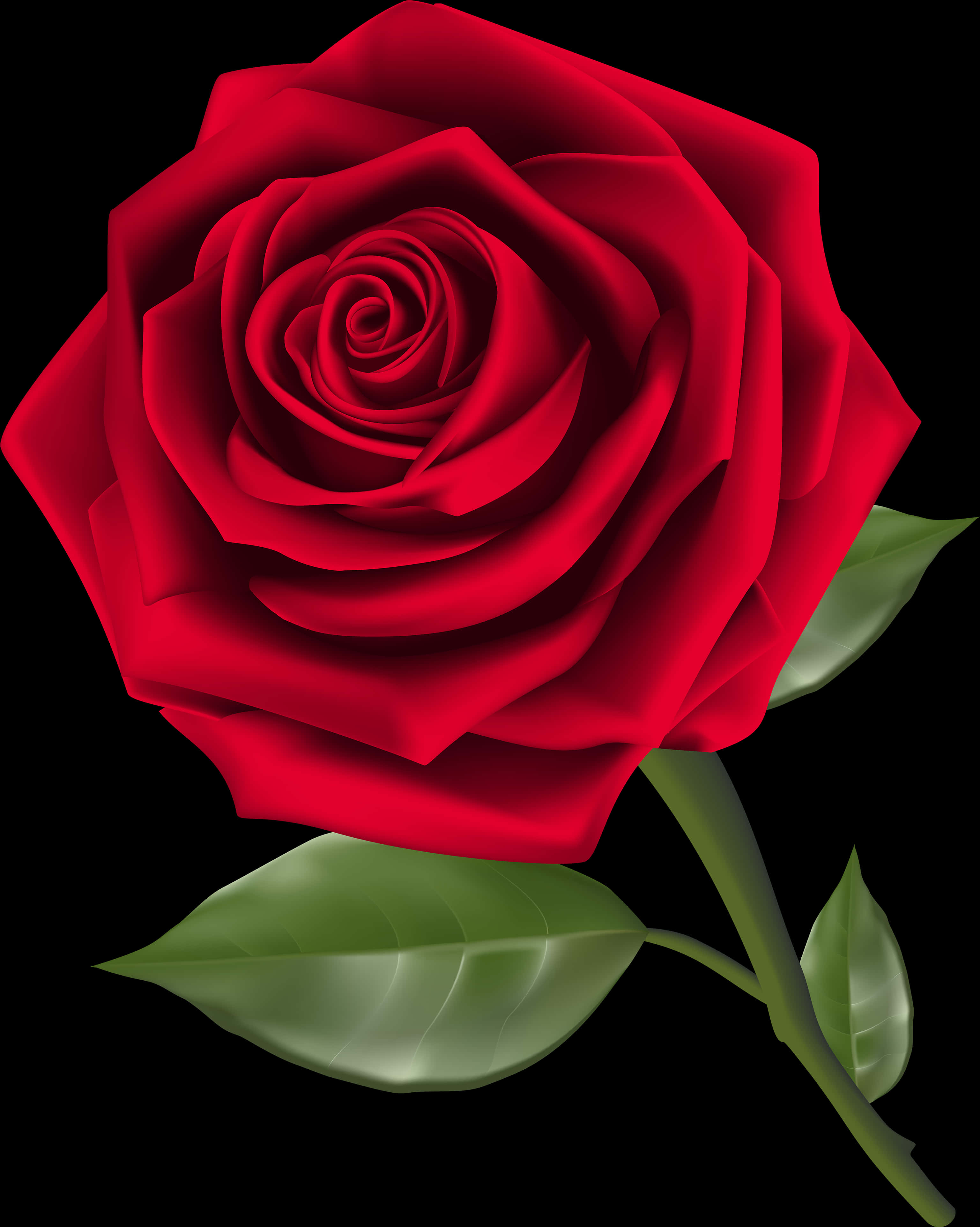 vibrant red rose, lush green leaves, stem, 4K Phone Wallpaper