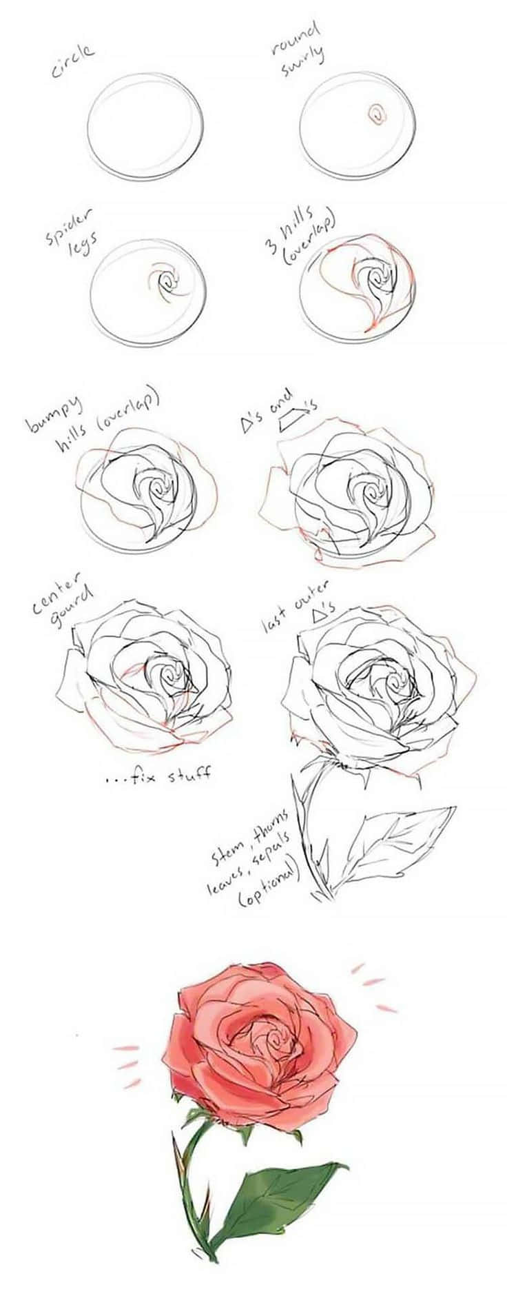 rose art, 736 x 1880 wallpaper, step-by-step tutorial, HD Phone Wallpaper