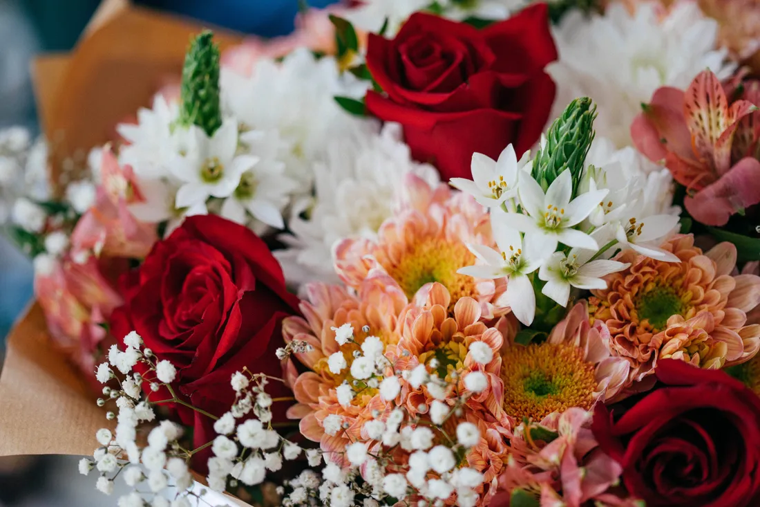 Beautiful Roses