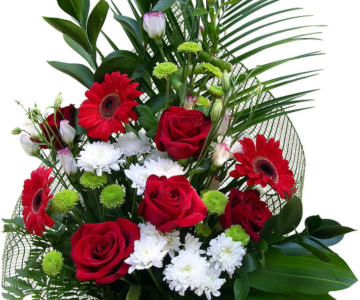 red roses, gerbera daisies, white chrysanthemums, SD Desktop Wallpaper