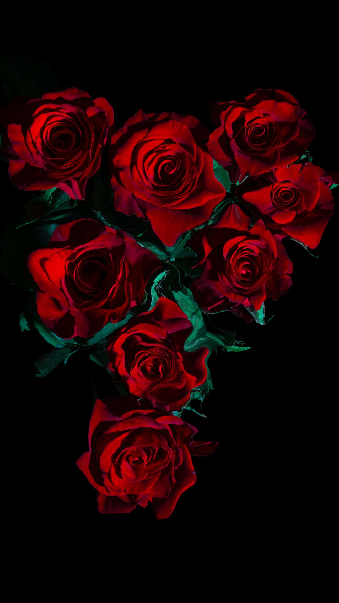 red roses, deep green stems, heart shape, Full HD Phone Wallpaper