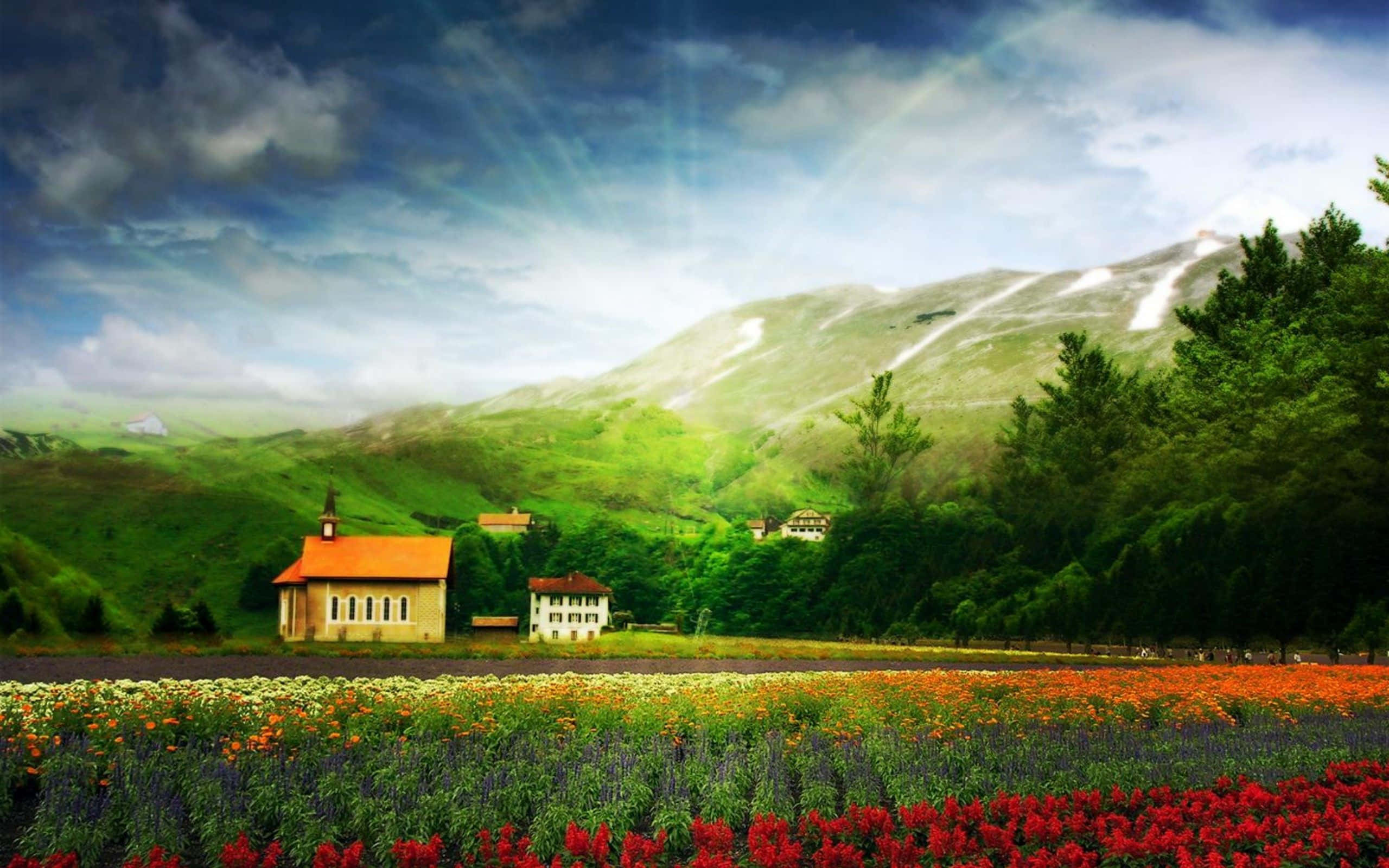 red orange and purple flowers, quaint church, lush green hills, 2K Desktop Wallpaper