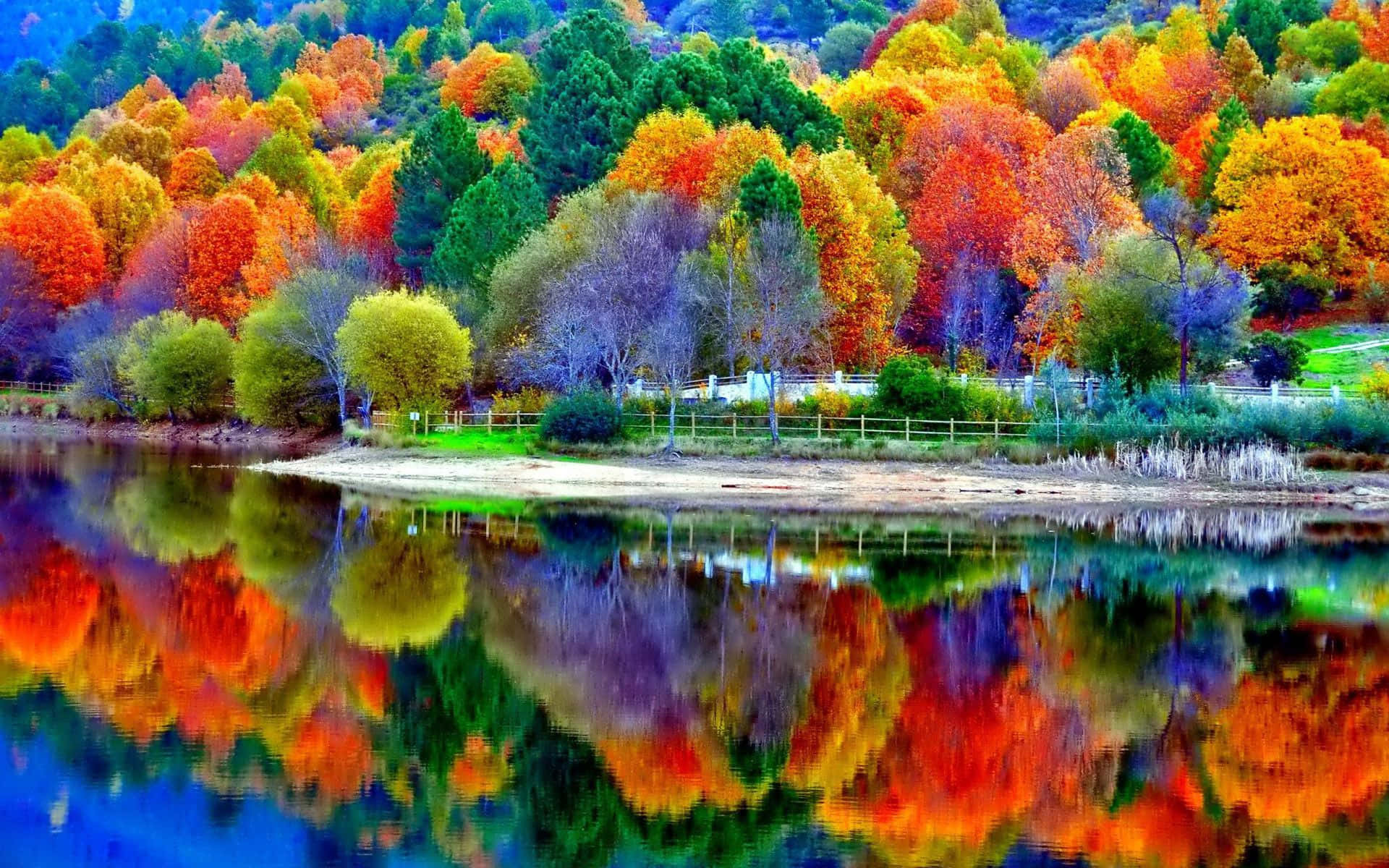 Beautiful Scenery Desktop, colorful autumn lake, fiery red orange and green leaves, Full HD Desktop Wallpaper