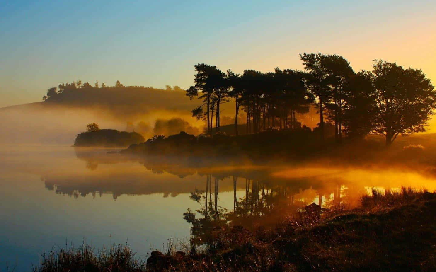 Golden sunrise, misty lake, silhouetted trees, HD Desktop Wallpaper