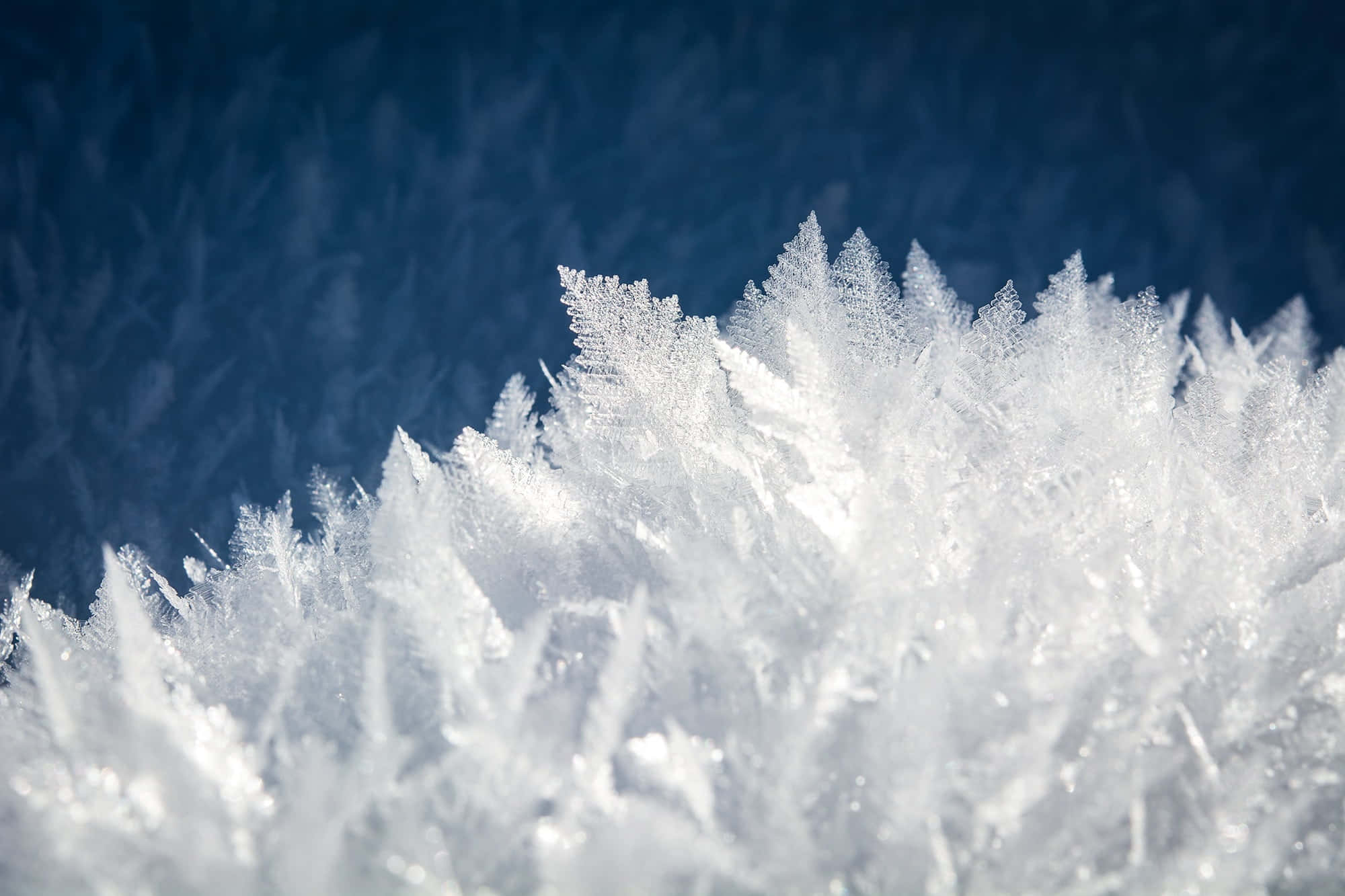 white frost crystals, deep blue background, close-up winter scene, Full HD Desktop Wallpaper