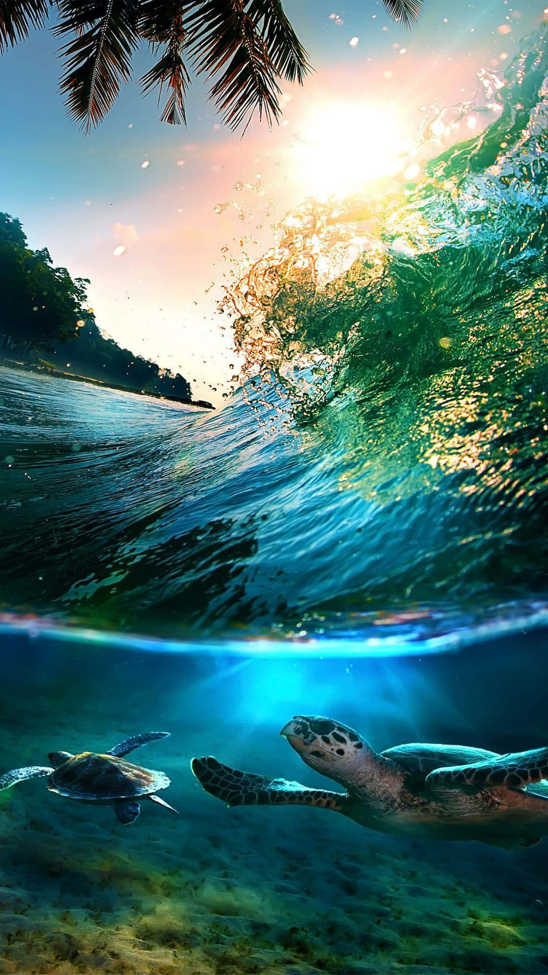 sea turtles, crashing turquoise wave, sunbeams, Full HD Phone Wallpaper