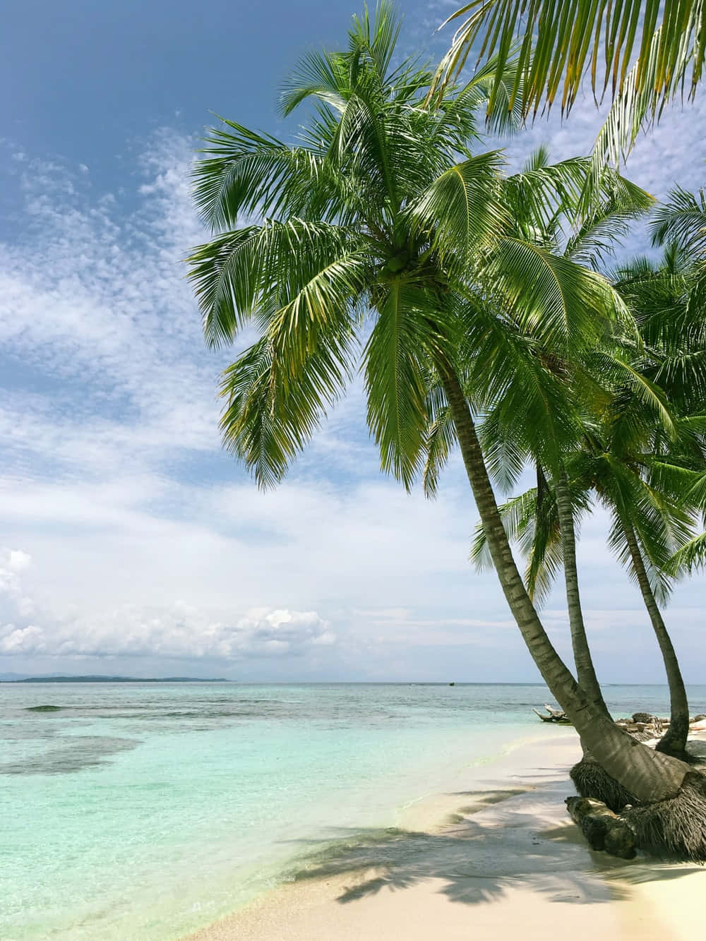 Beautiful Sea, palm trees, white sand, HD Phone Wallpaper