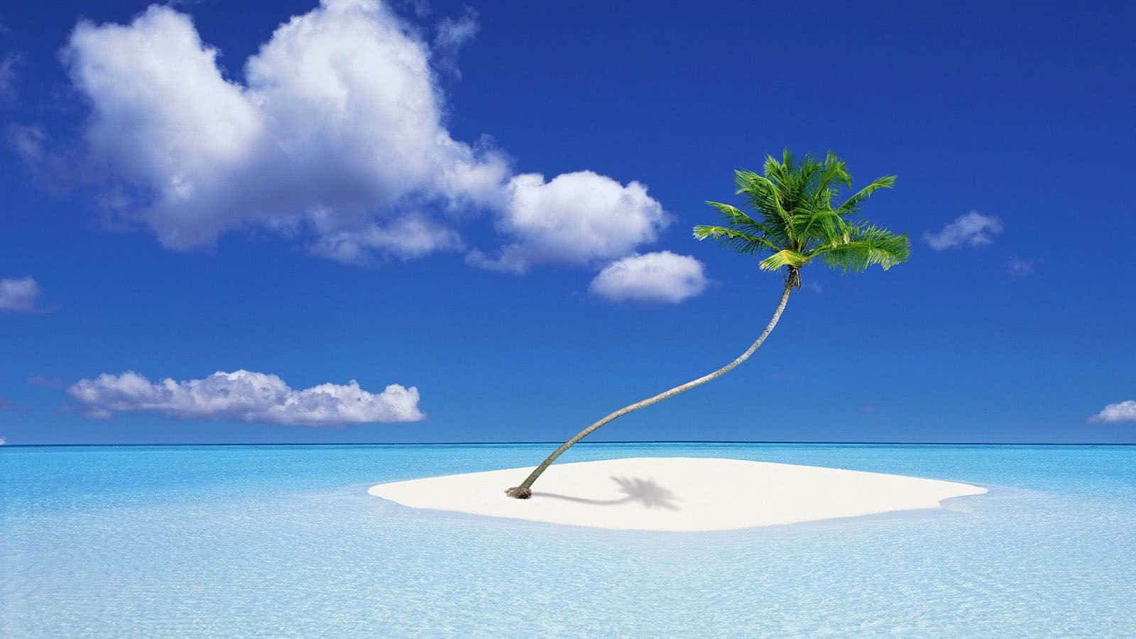 white sand island, palm tree, crystal clear turquoise water, HD Desktop Wallpaper