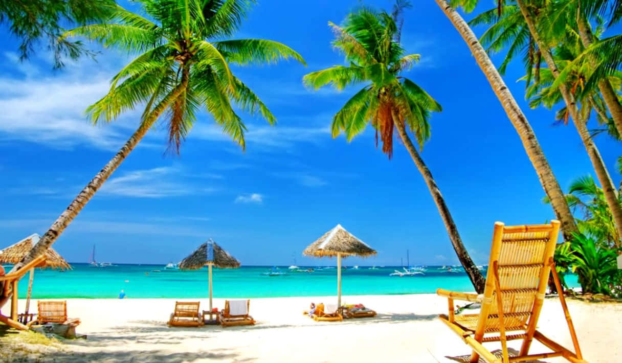 Beautiful Sea, summer beach resort, palm trees, SD Desktop Wallpaper