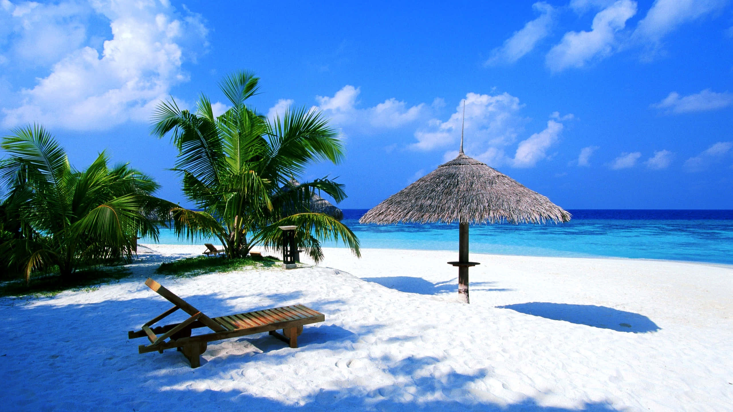 white sand beach, turquoise water, palm trees, 2K Desktop Wallpaper