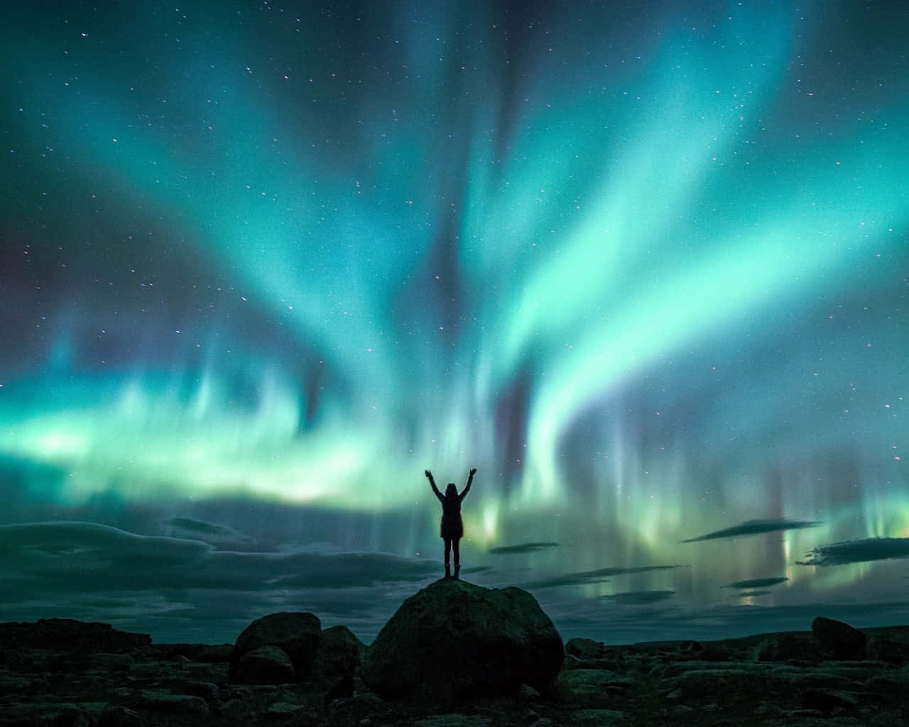 beautiful star, aurora borealis, starry night sky, HD Desktop Wallpaper