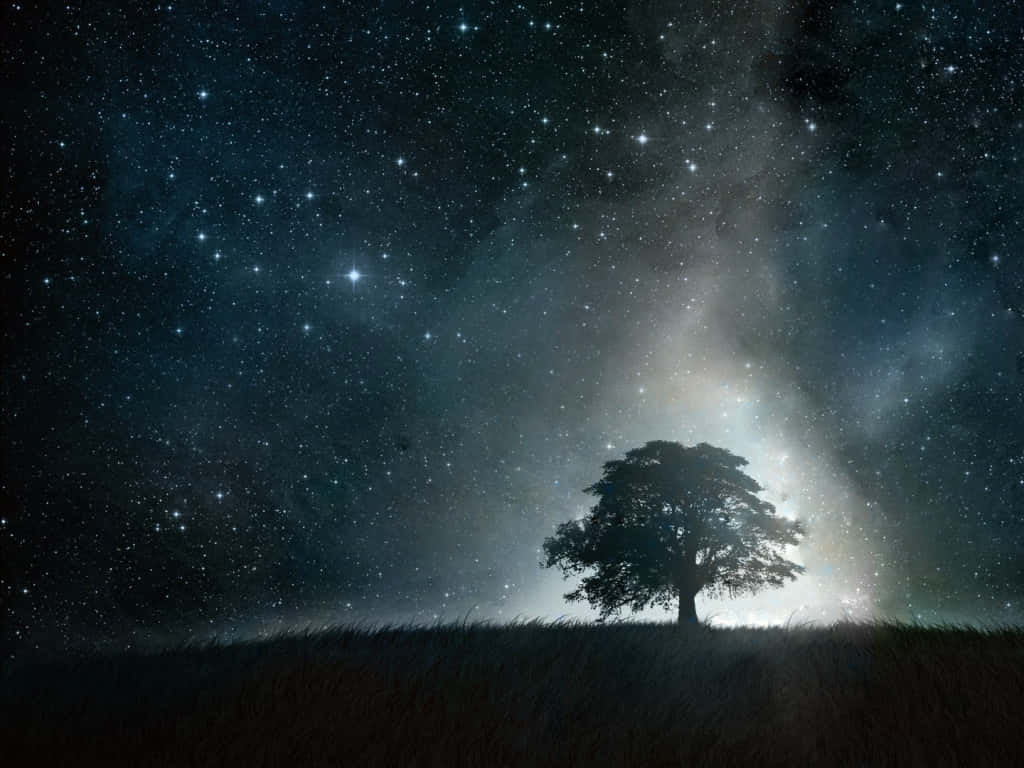 Beautiful Star, starry night sky, cosmic light, SD Desktop Wallpaper