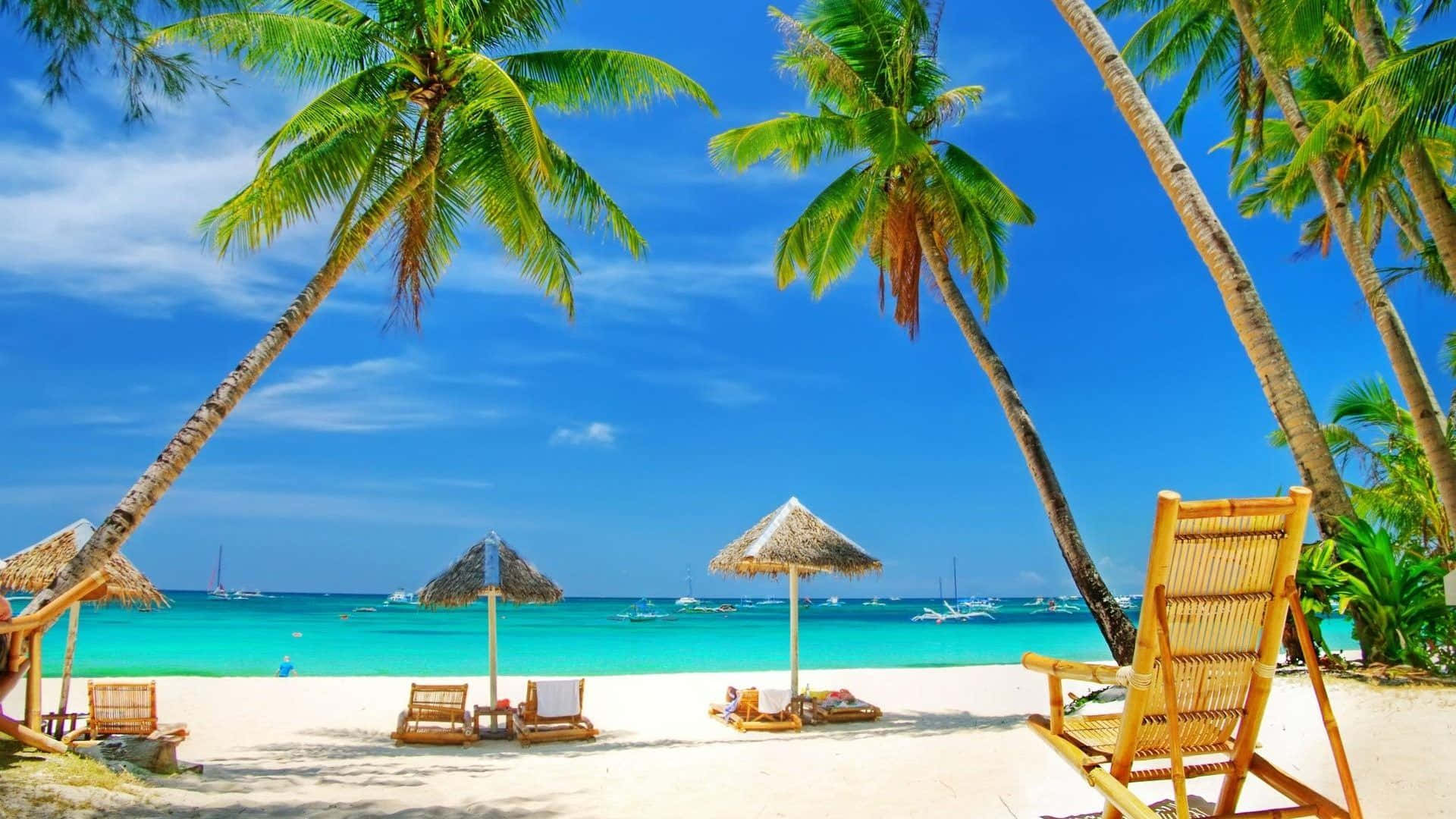 Beautiful Summer, tropical beach paradise, palm trees, Full HD Desktop Wallpaper