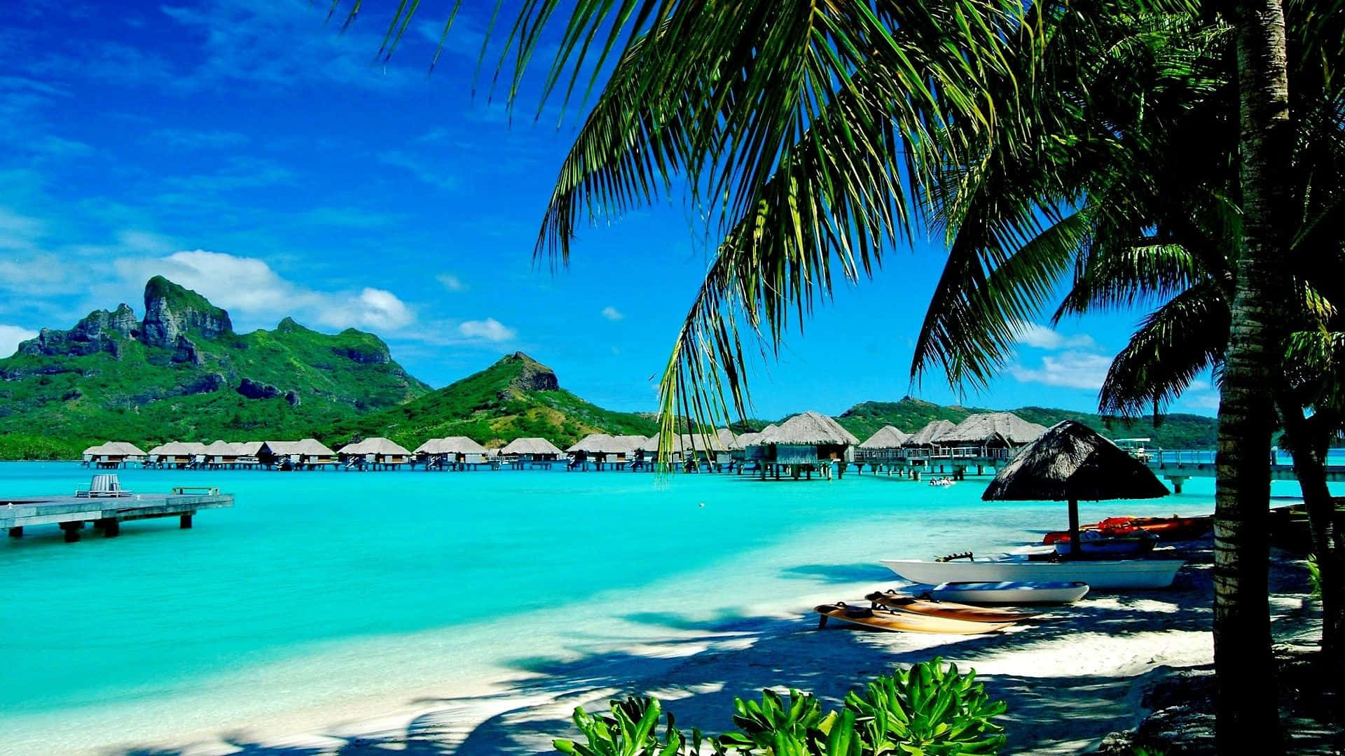 tropical paradise, turquoise lagoon, palm trees, Full HD Desktop Wallpaper