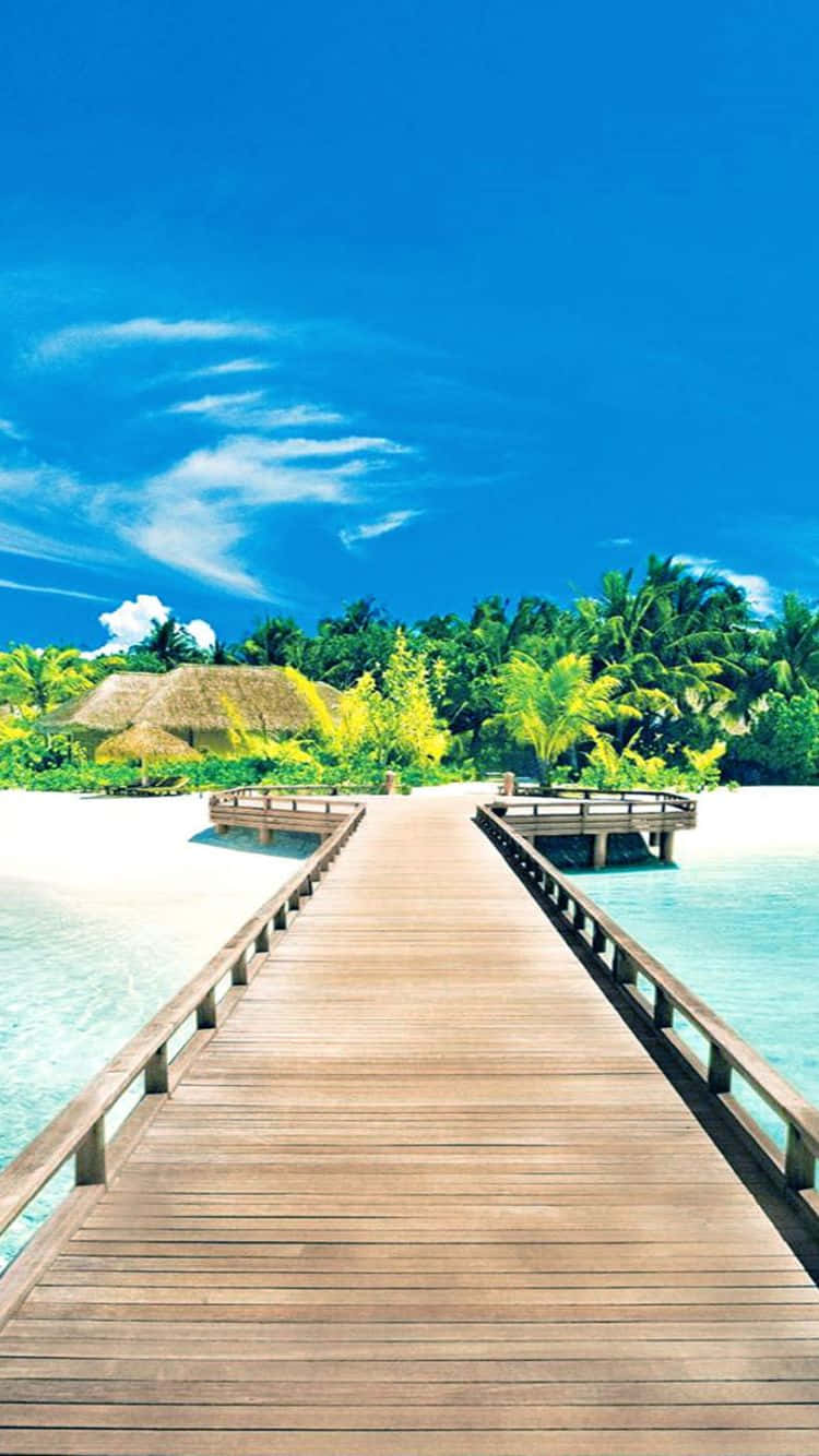 wooden pier, tropical island, palm trees, HD Phone Wallpaper