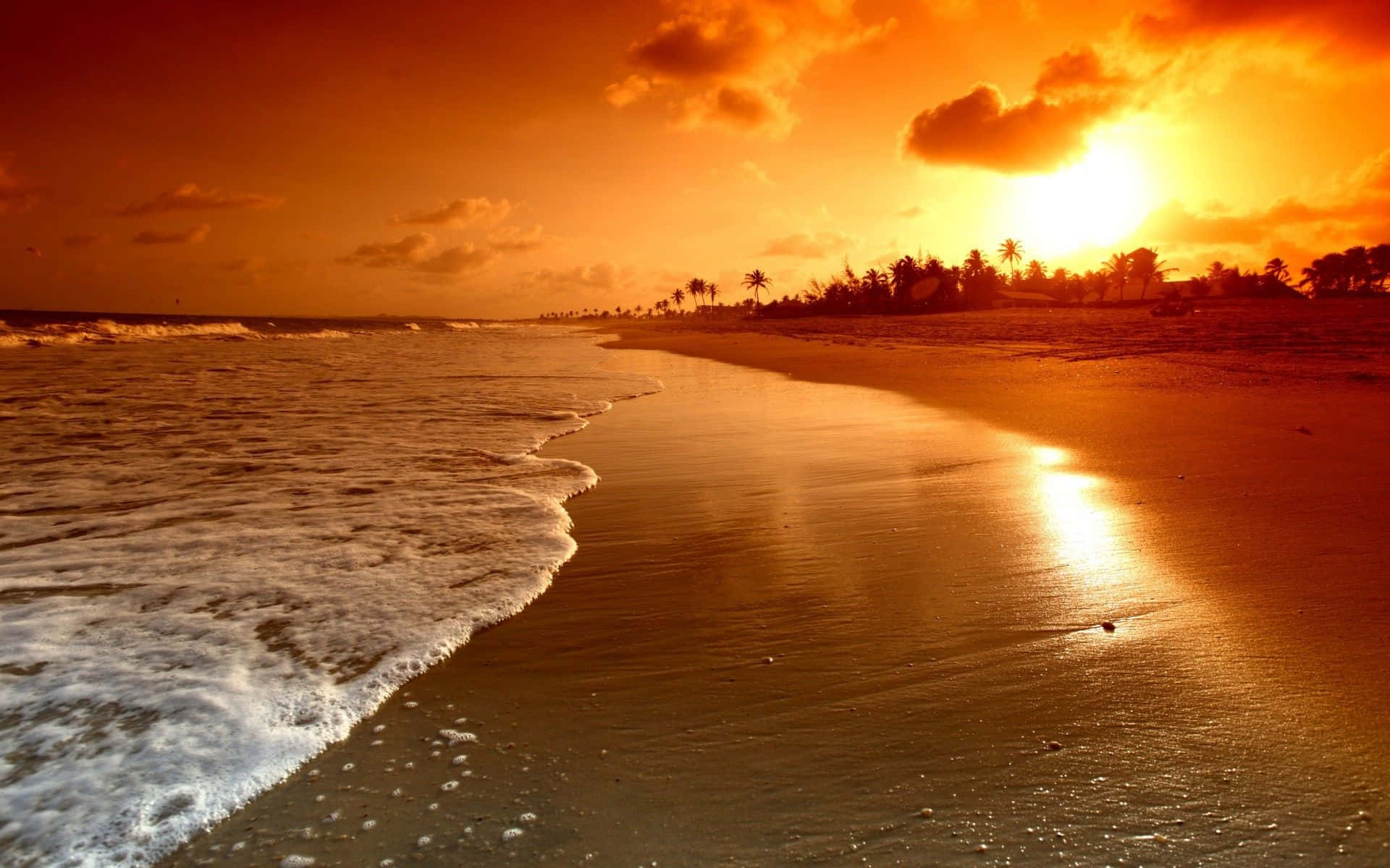 Golden sunset, fiery orange light, tranquil beach, Full HD Desktop Wallpaper