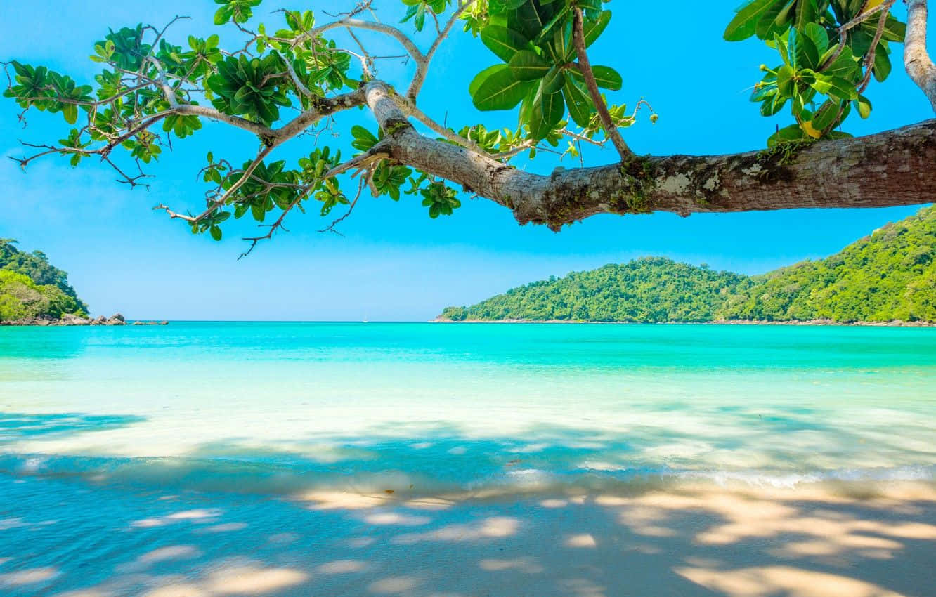 tropical beach, turquoise waters, lush green island, HD Desktop Wallpaper