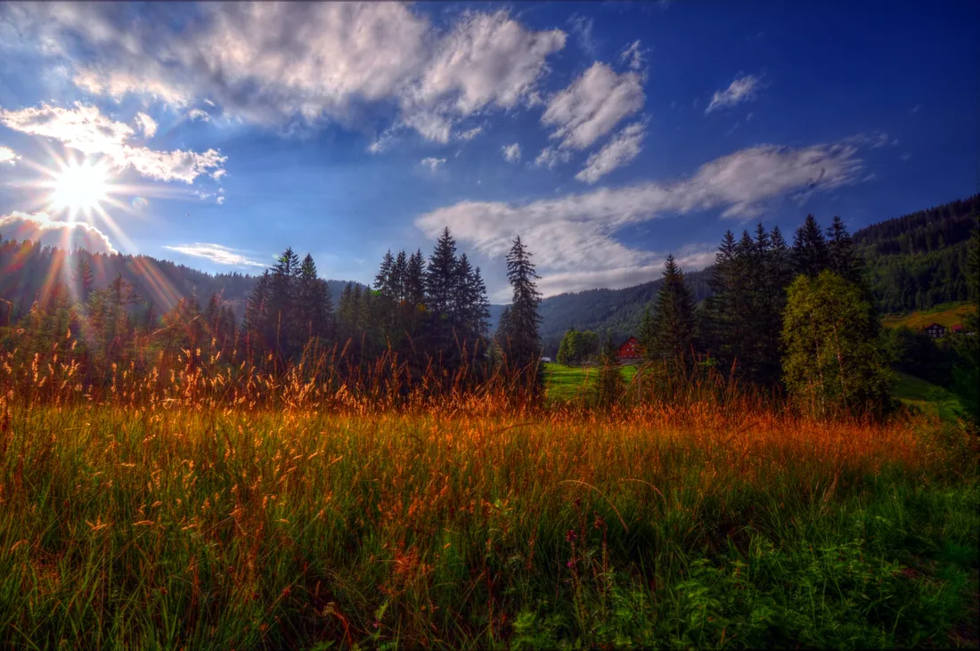 Beautiful Sunshine