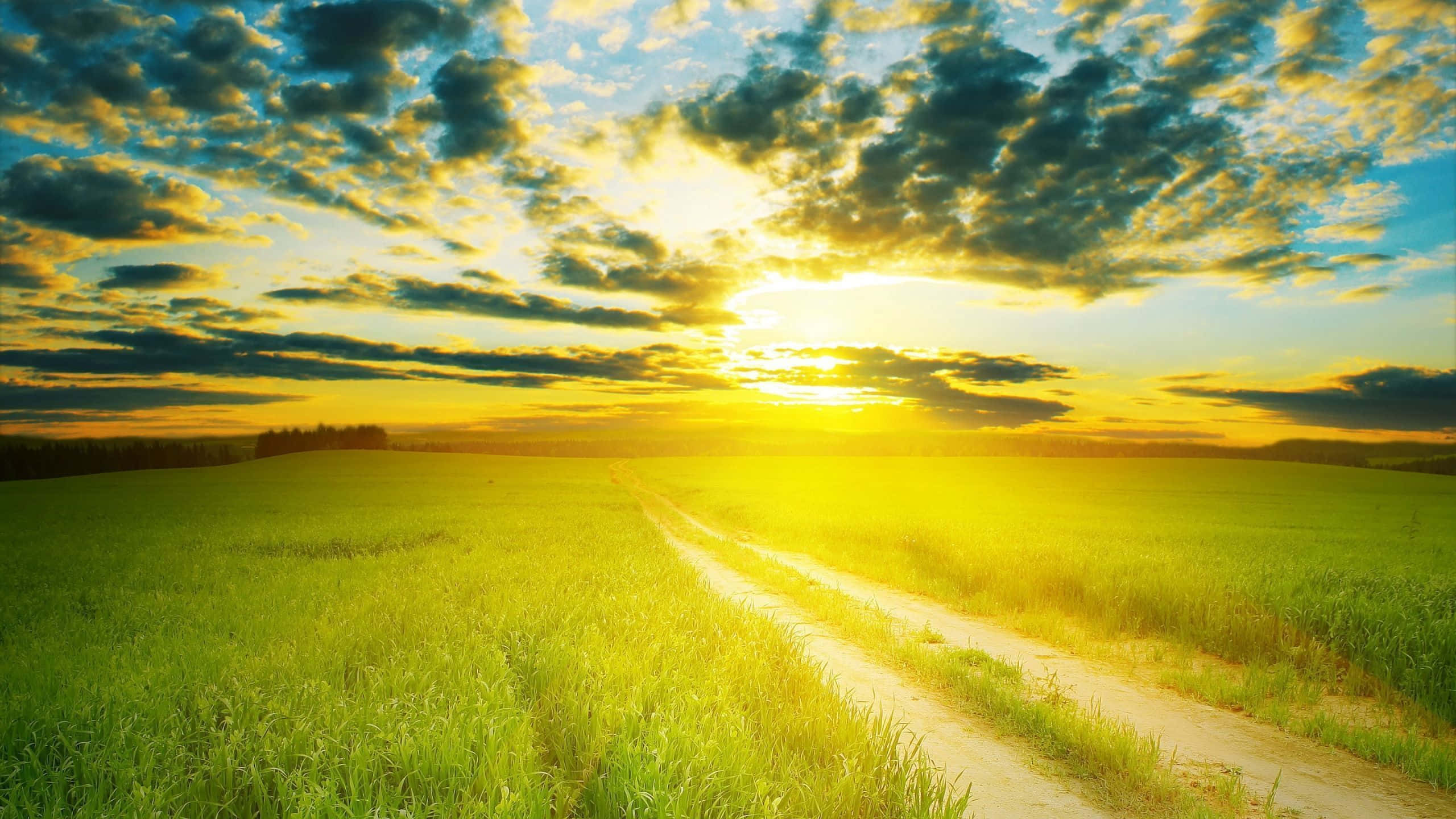 golden sunset, dramatic clouds, vibrant green field, 2K Desktop Wallpaper
