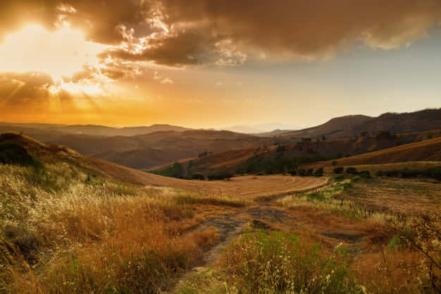 Beautiful Sunshine, Golden sunbeams, dramatic clouds, SD Desktop Wallpaper