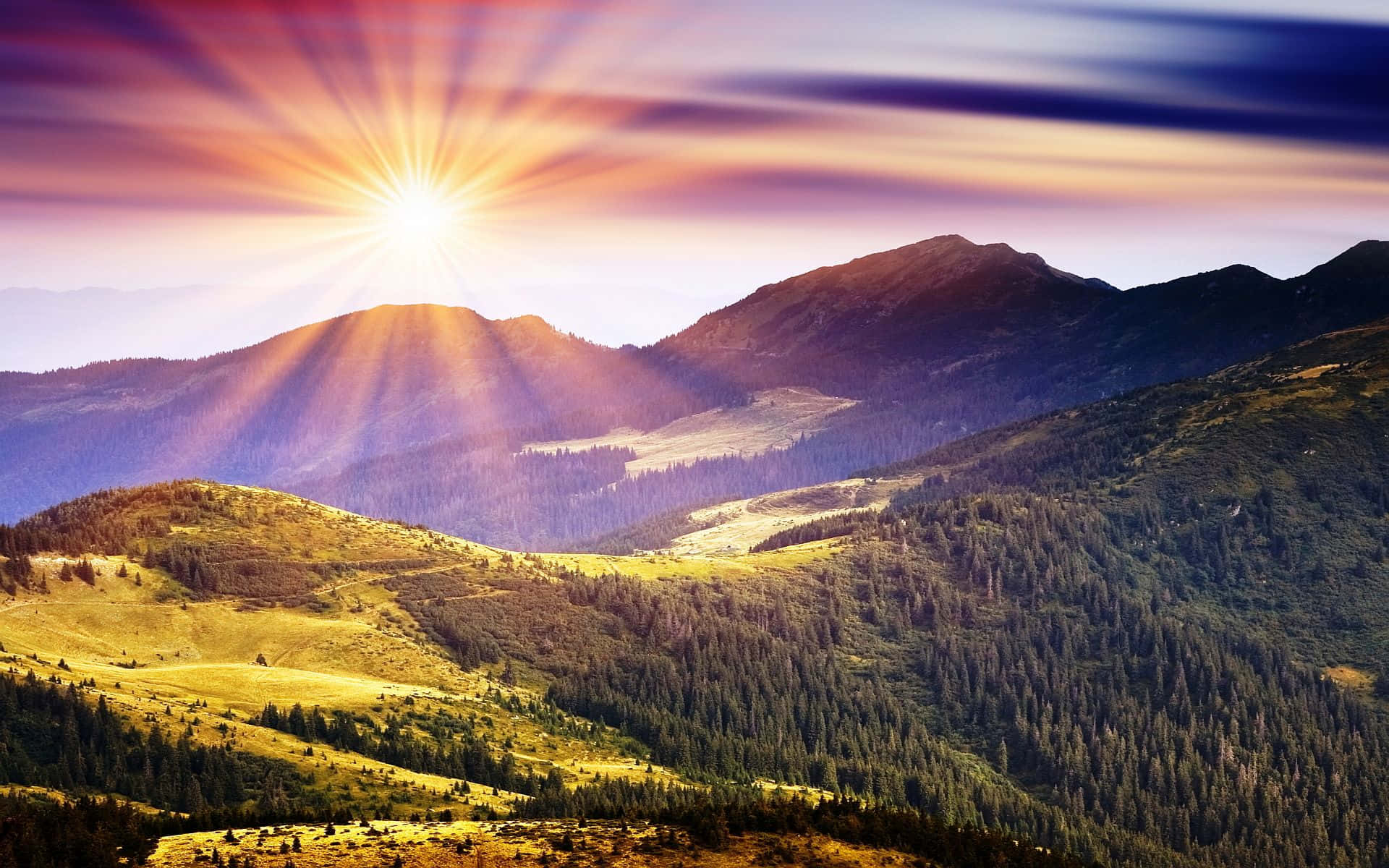 sunrise, sunburst, golden light, Full HD Desktop Wallpaper