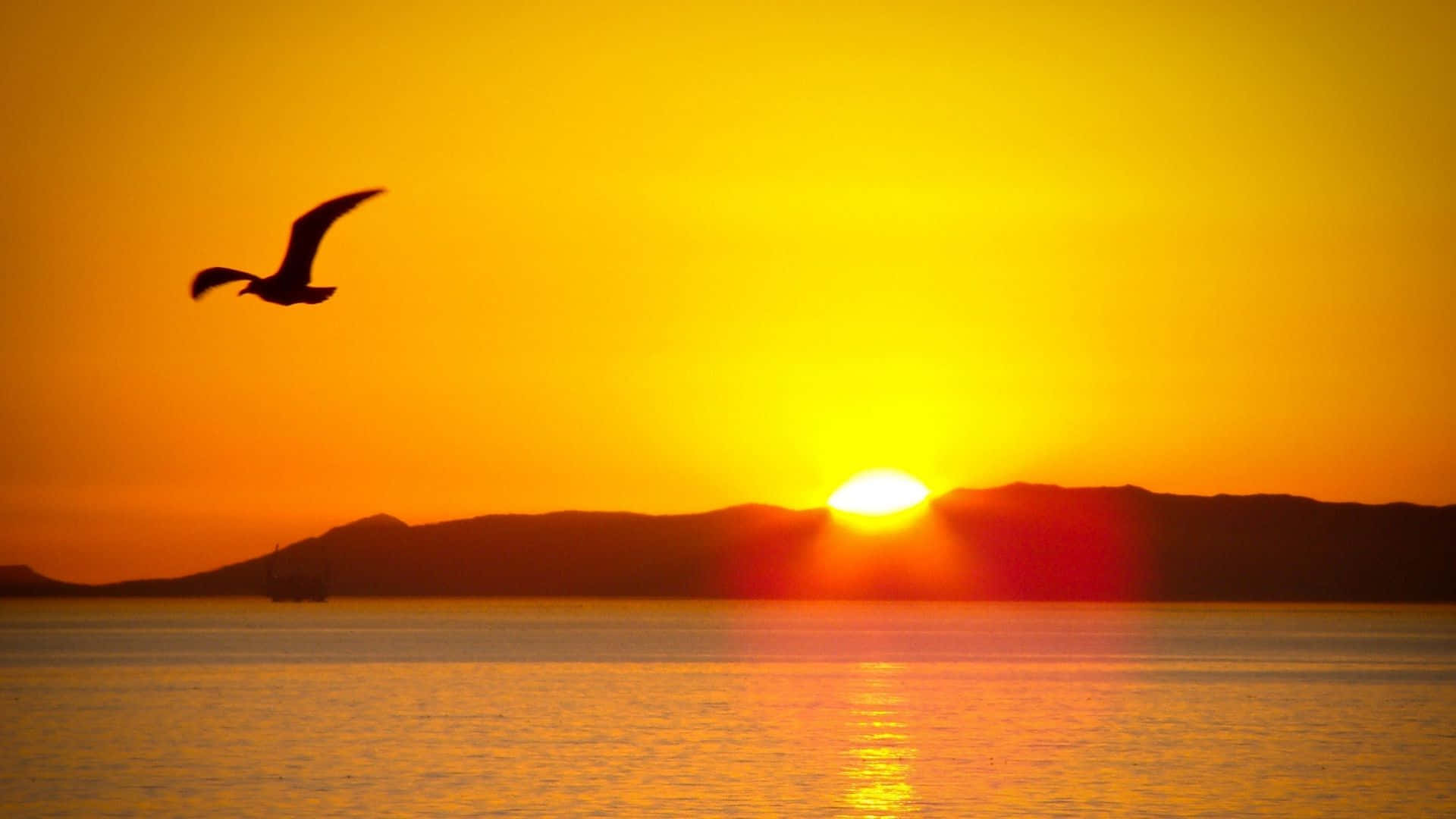 fiery orange sunset, calm water, distant hills, Full HD Desktop Wallpaper