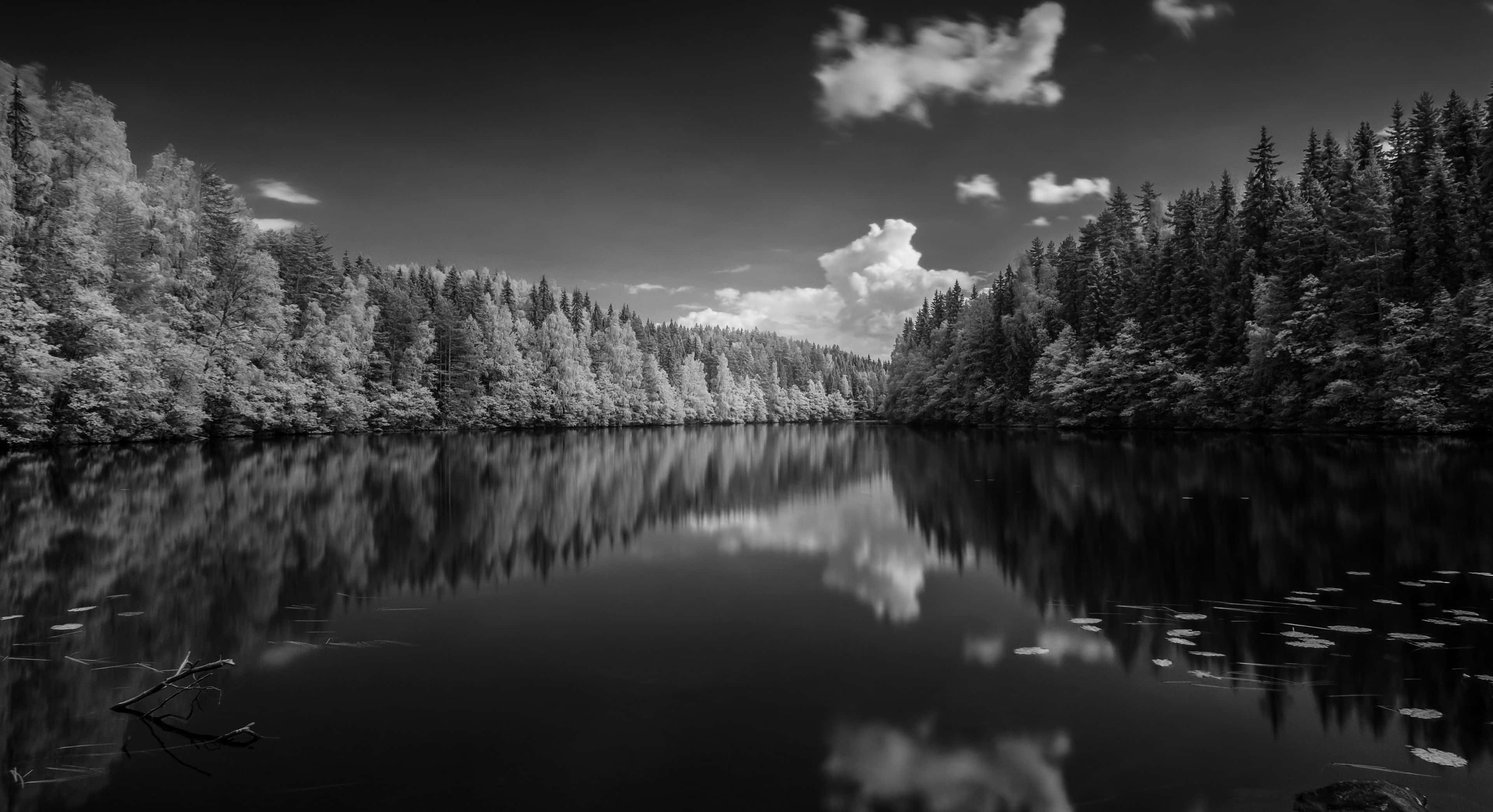 black and white landscape, lake, dense forests, 4K Desktop Wallpaper