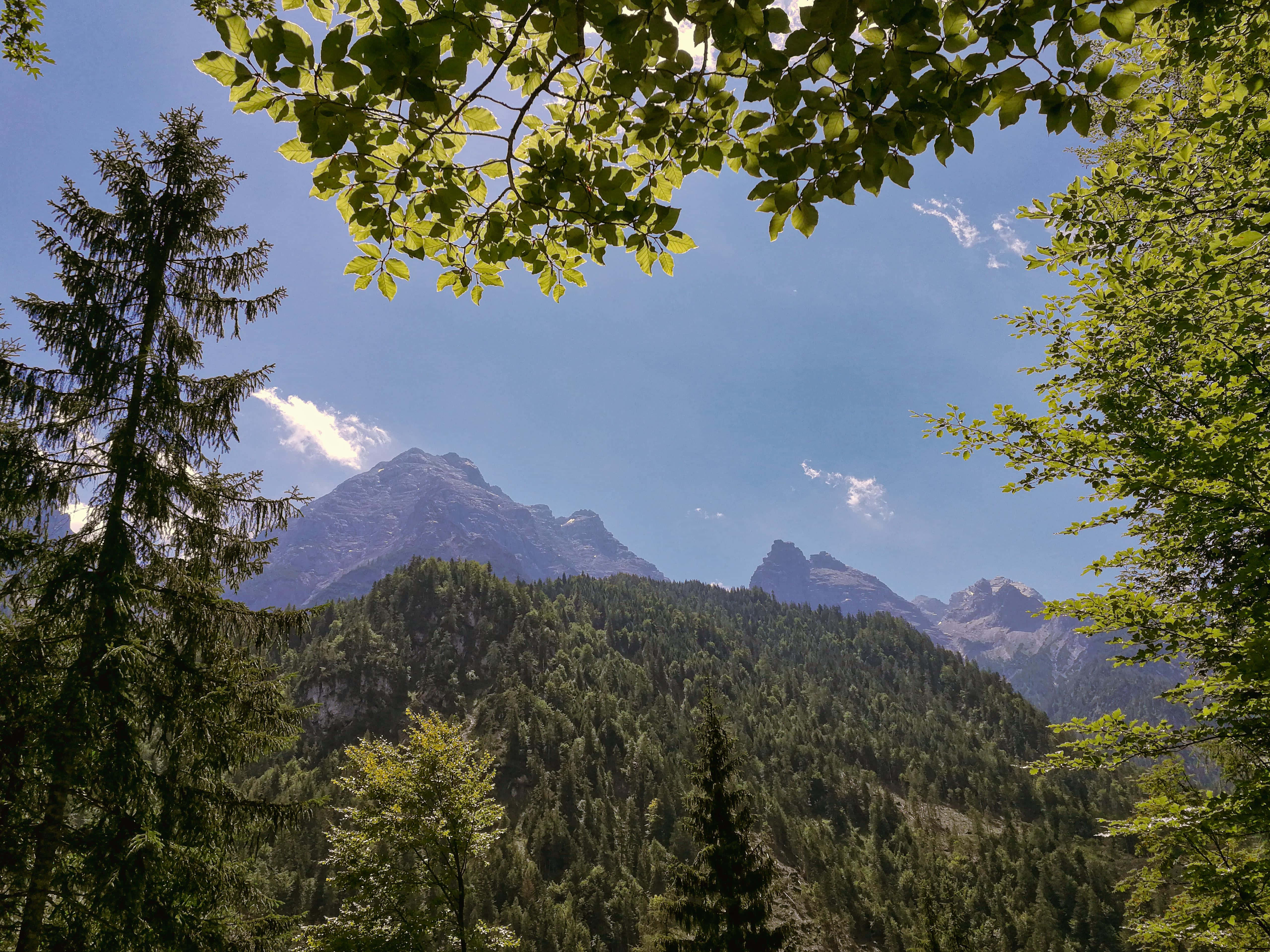 mountain range, trees, sunlit, 5K Desktop Wallpaper