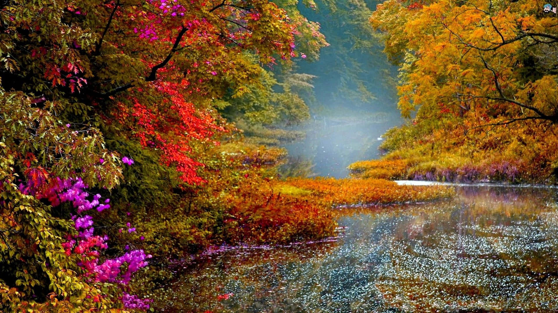 sunset, autumn river, forest, Full HD Desktop Wallpaper