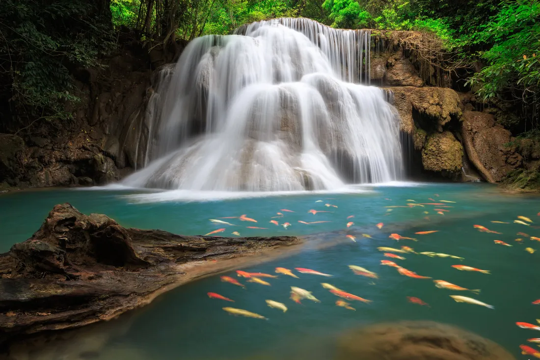 Beautiful Waterfall