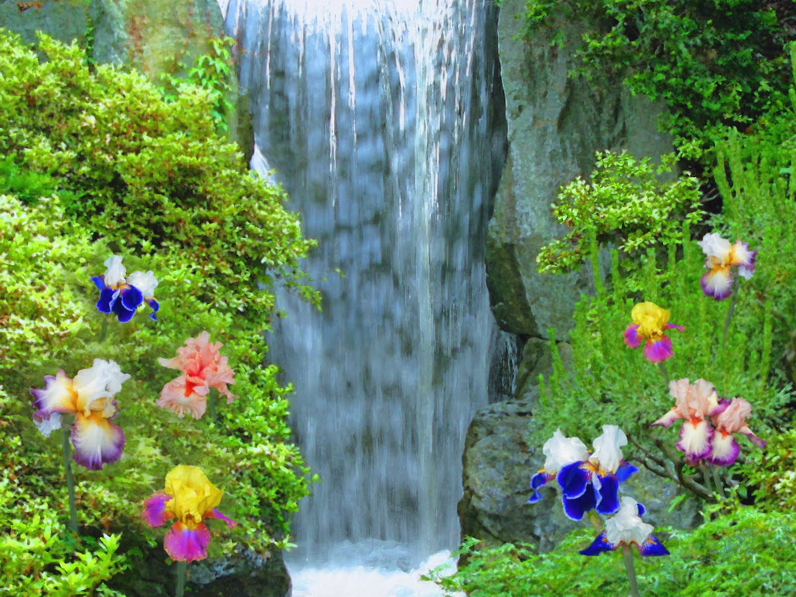beautiful waterfall, pansy flowers, lush greenery, HD Desktop Wallpaper