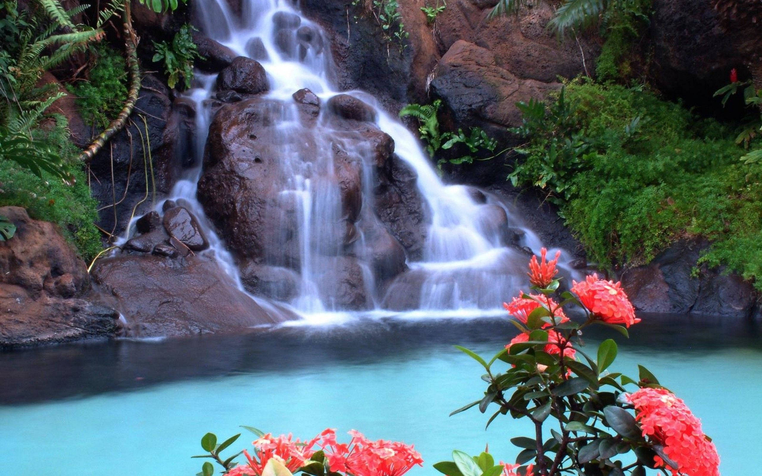 tropical, waterfall, mossy rocks, 2K Desktop Wallpaper