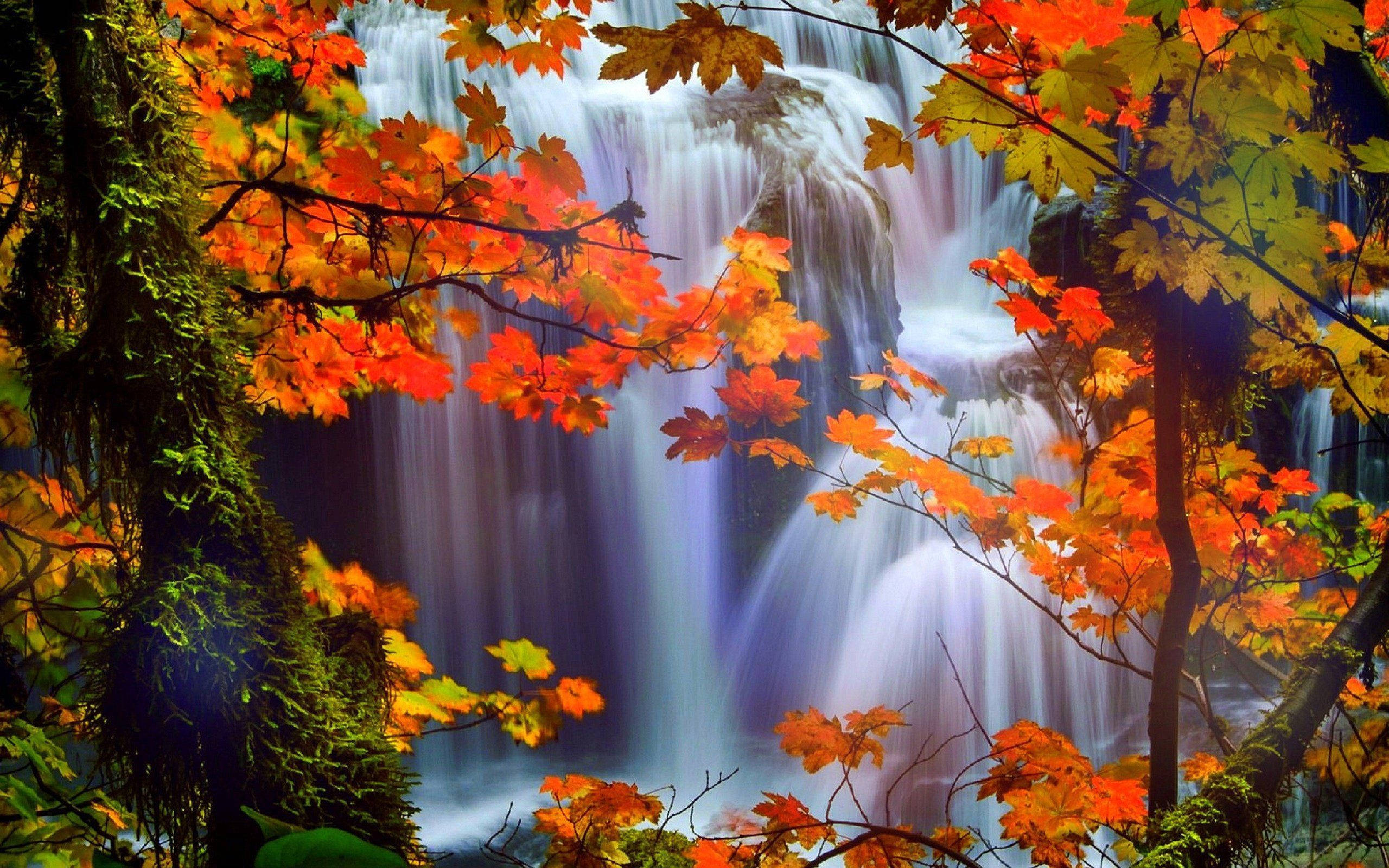 autumn, waterfall, vibrant autumn leaves, 2K Desktop Wallpaper