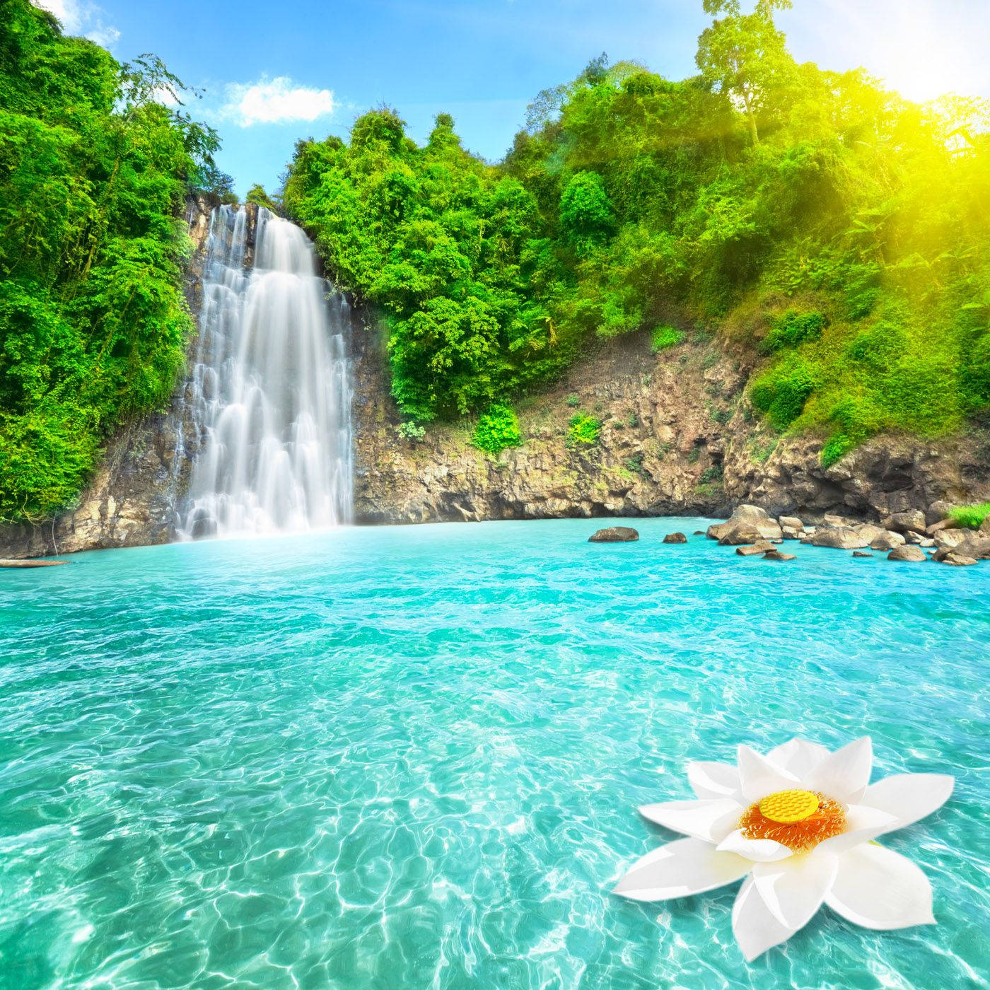 lotus flower, turquoise waterfall, crystal clear pool, HD Desktop Wallpaper