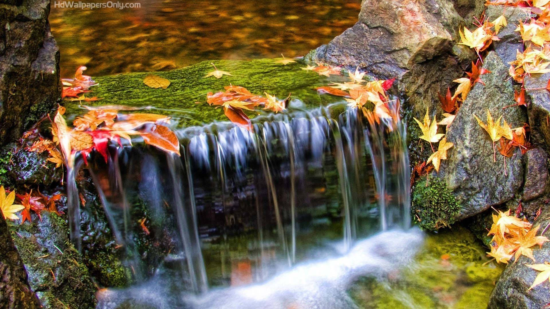 autumn waterfall, mossy rocks, vibrant red maple leaves, Full HD Desktop Wallpaper