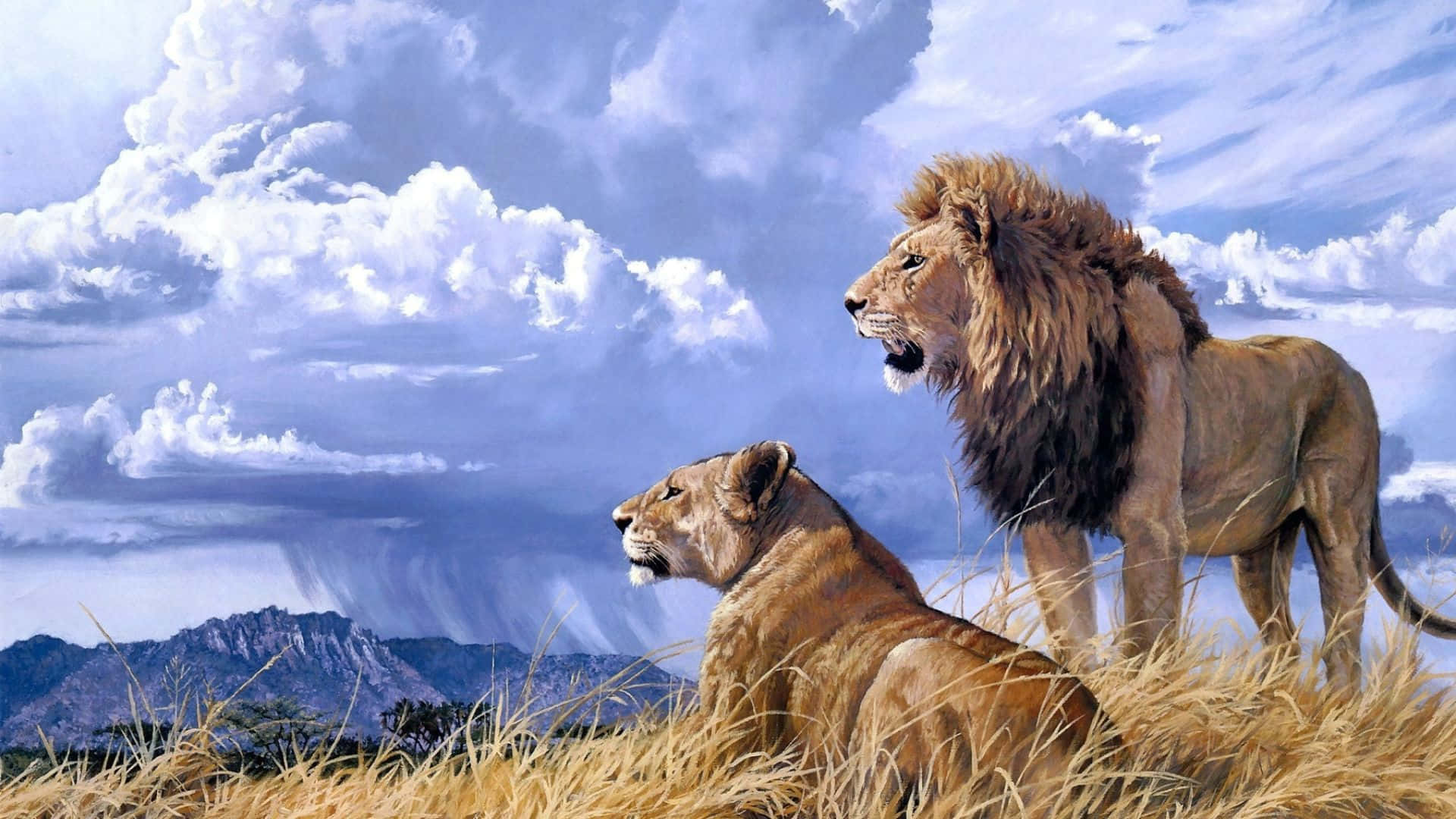 majestic male and female lion, golden grass, dramatic cloudy sky, Full HD Desktop Wallpaper
