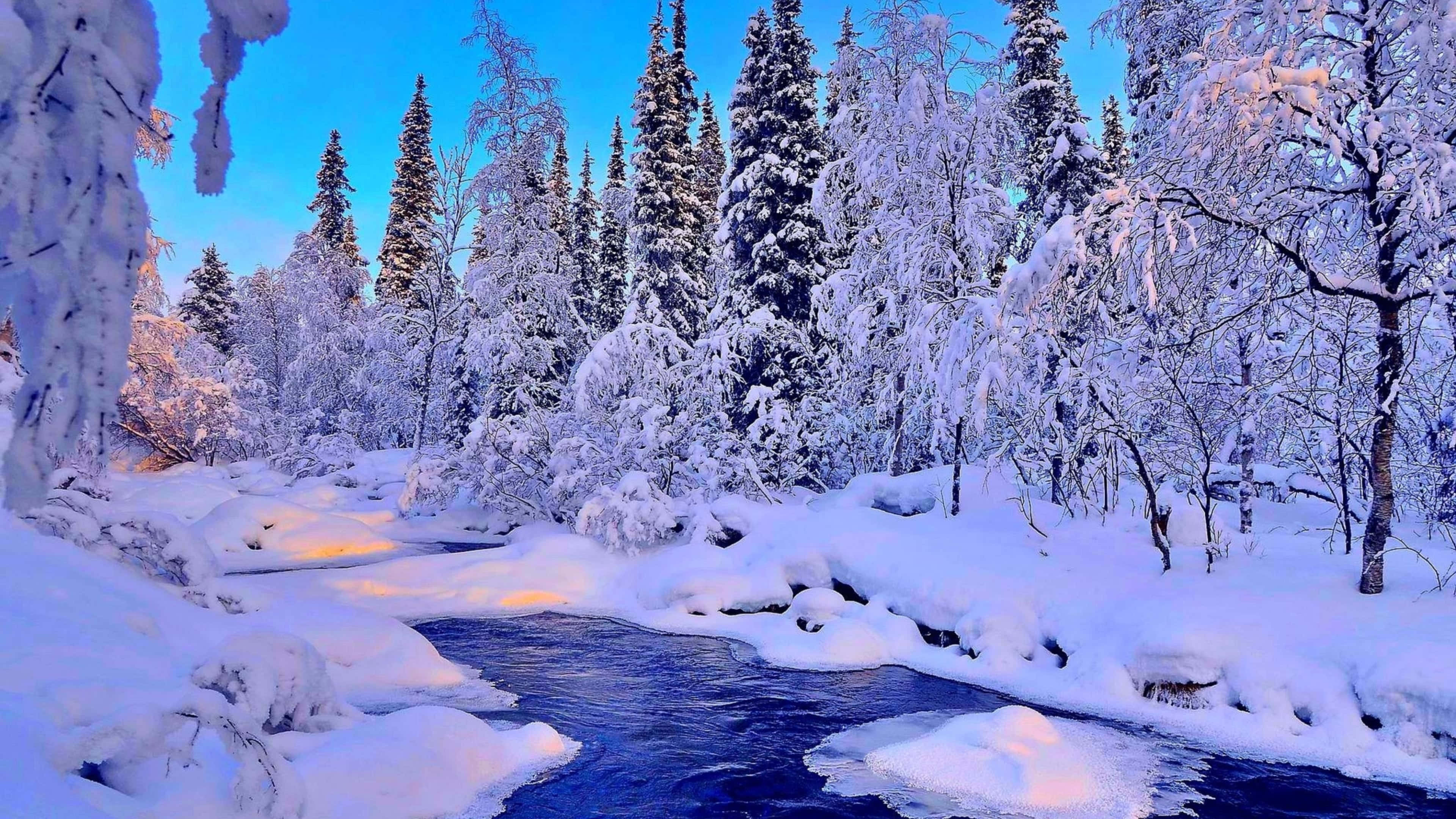 winter forest, snow-covered trees, flowing river, 4K Desktop Wallpaper