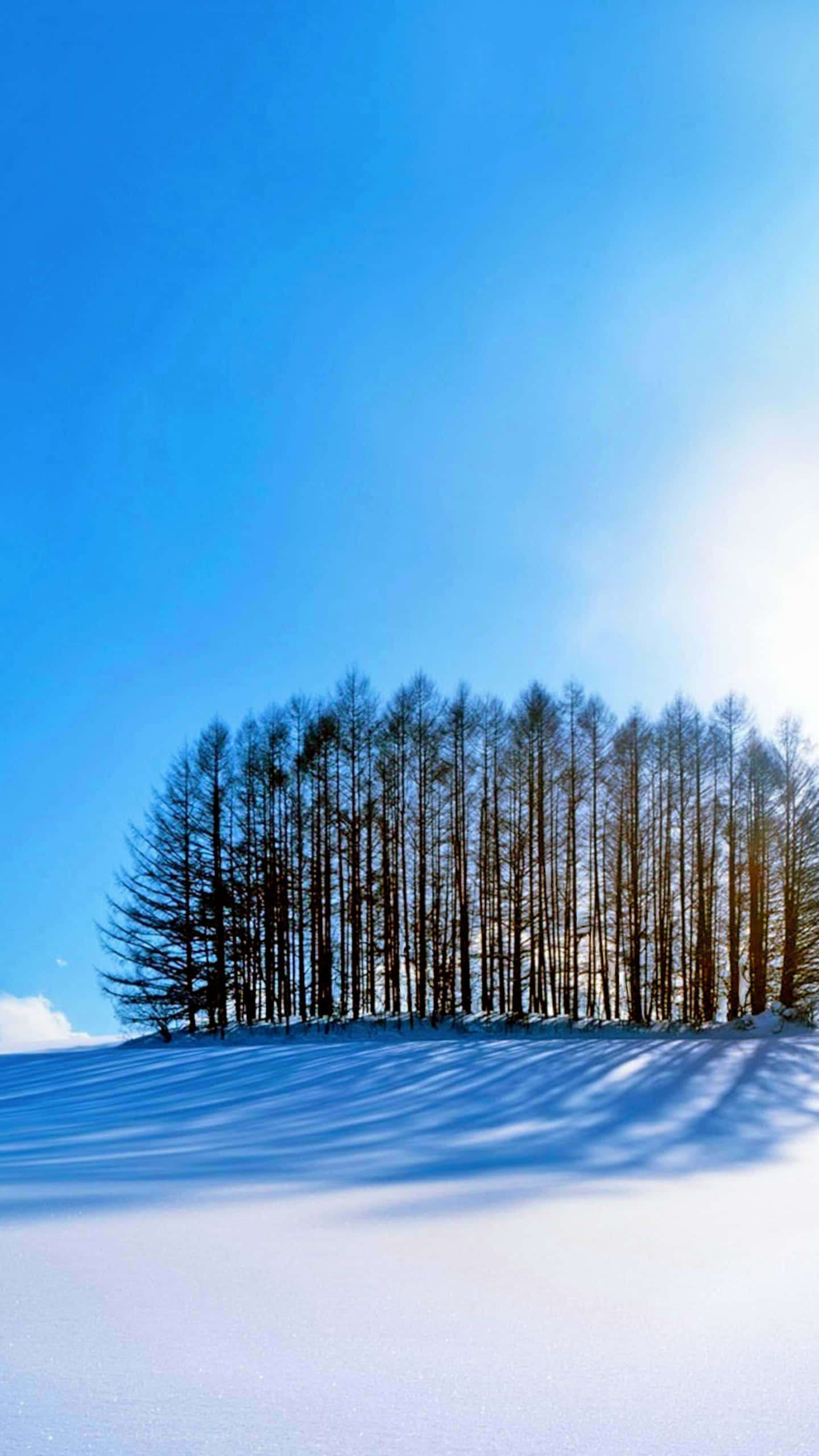 snow covered hill, trees in the background, pristine snowy field, 2K Phone Wallpaper