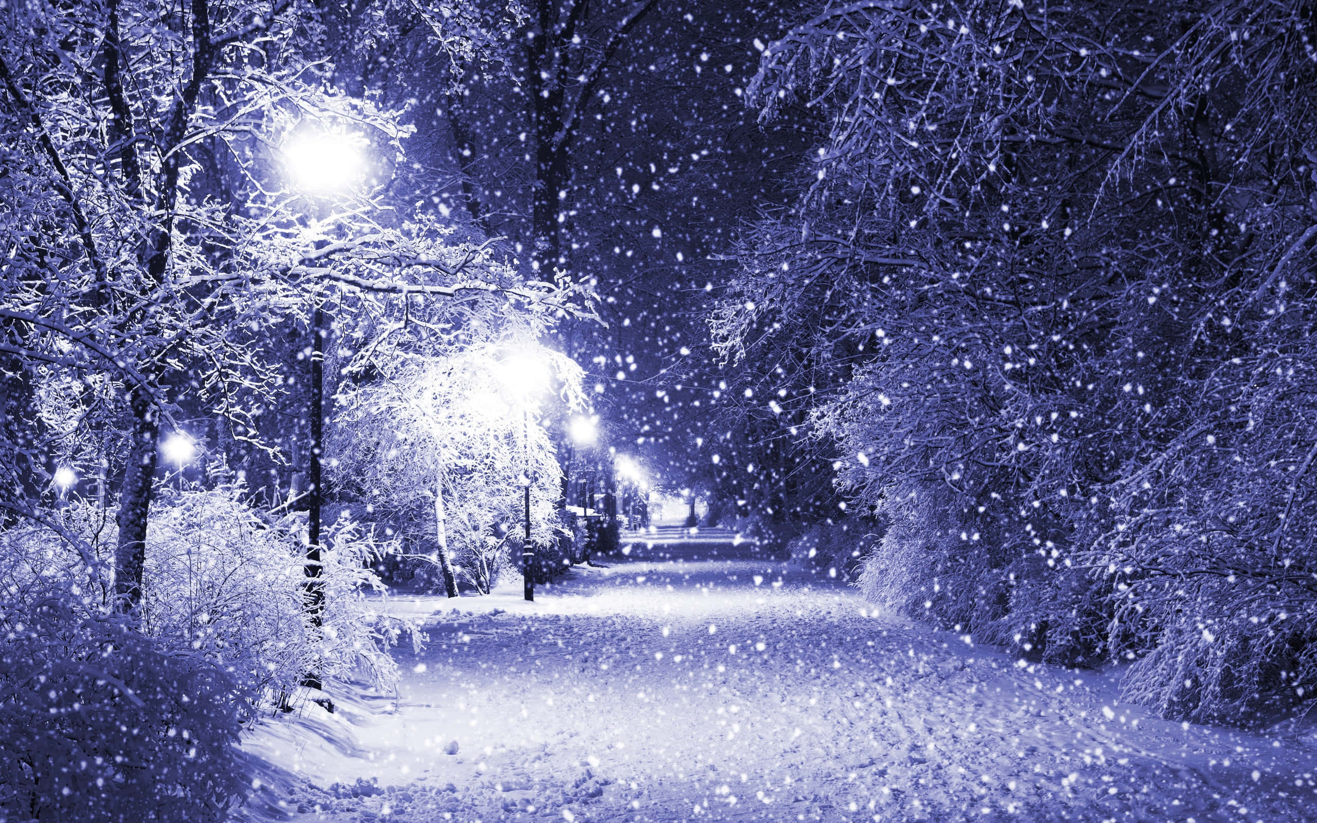 beautiful winter, moonlit winter park, snowflakes, 2K Desktop Wallpaper