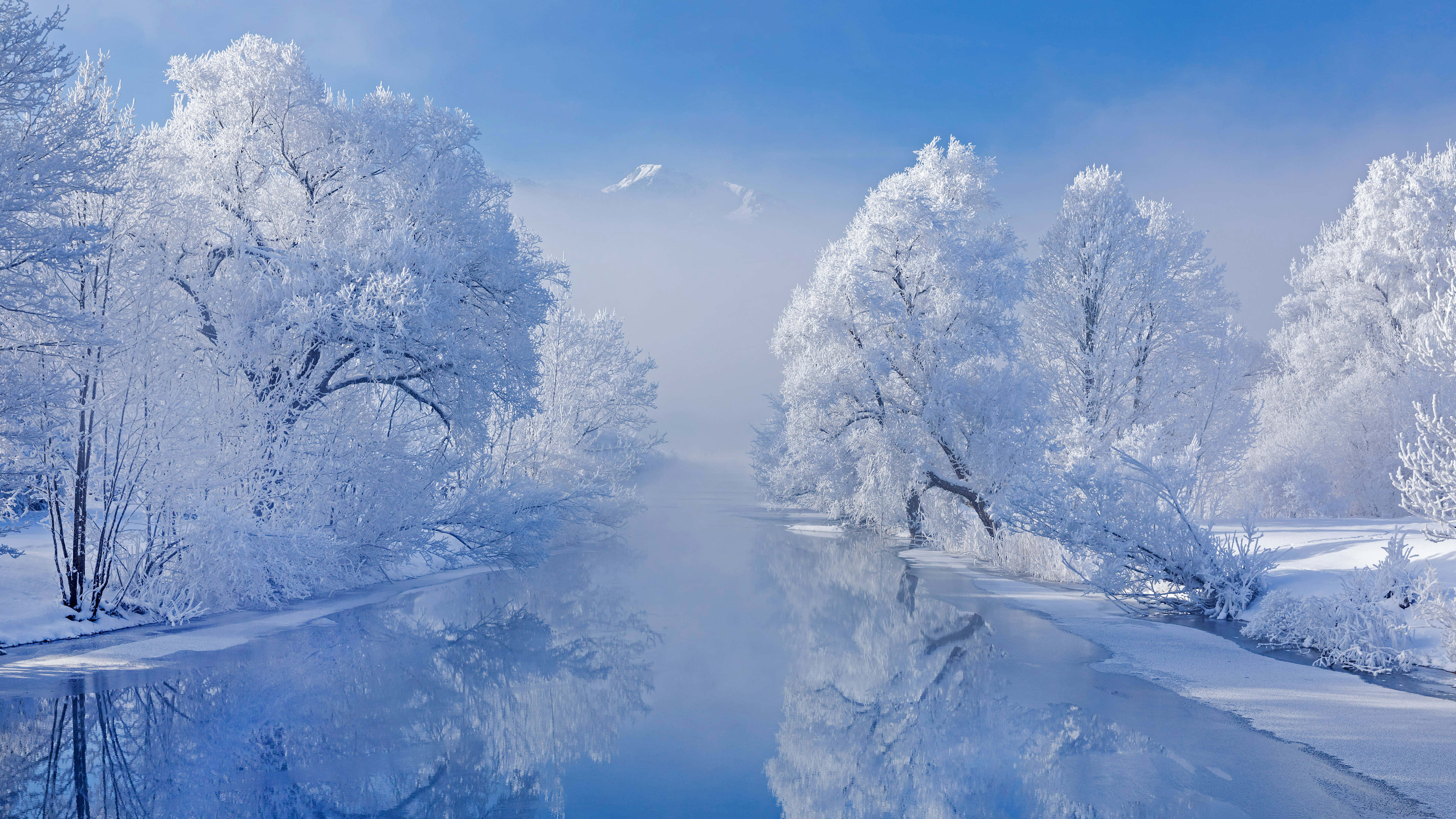 Frost-covered trees, misty river, clear blue sky, 5K Desktop Wallpaper