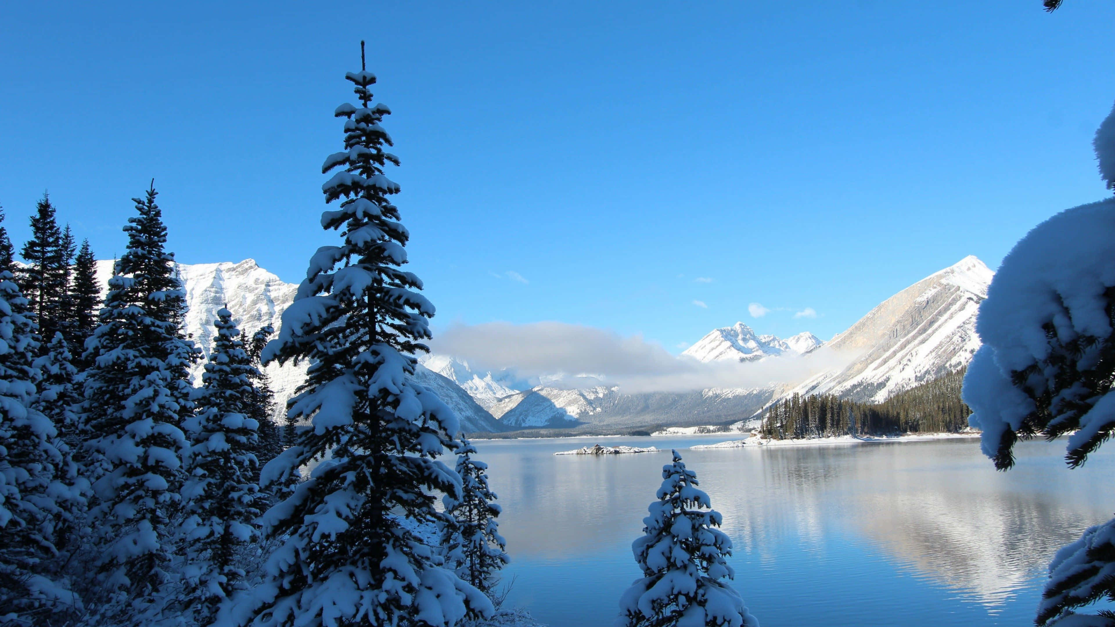 snow-laden evergreens, serene frozen lake, snow-capped mountains, 4K Desktop Wallpaper