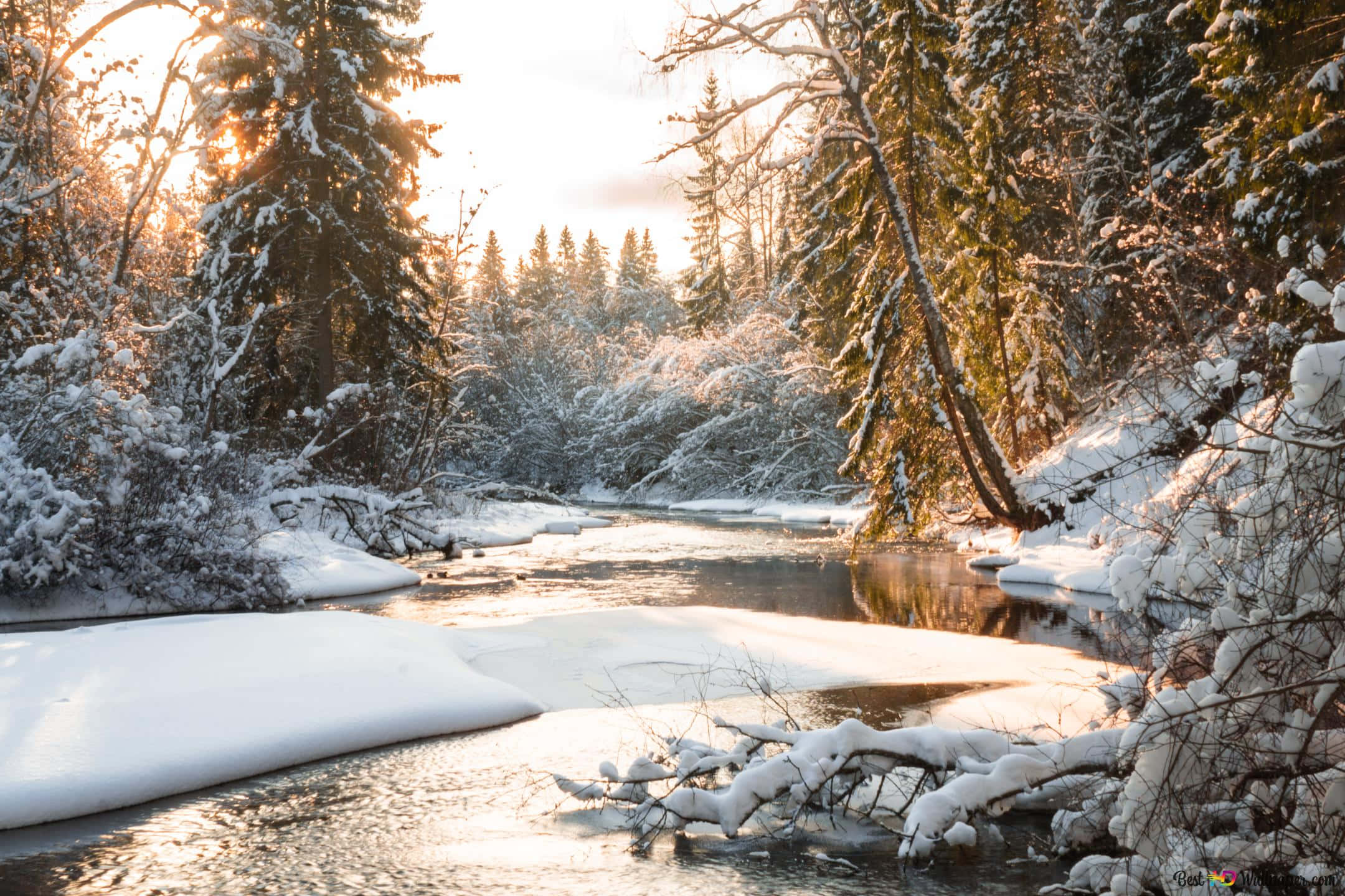 beautiful winter, snow-dusted river, serene winter forest, Full HD Desktop Wallpaper
