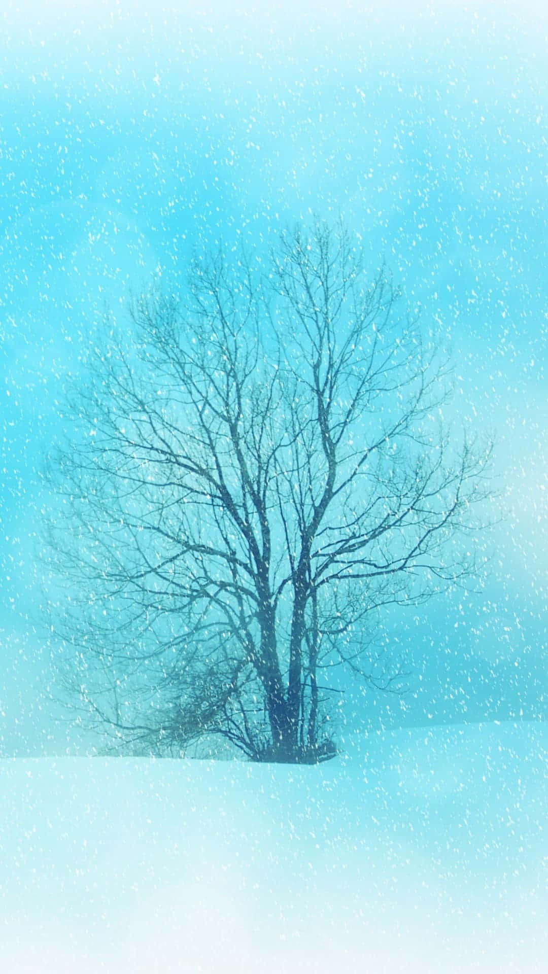 beautiful winter, snowy field, bare tree, Full HD Phone Wallpaper