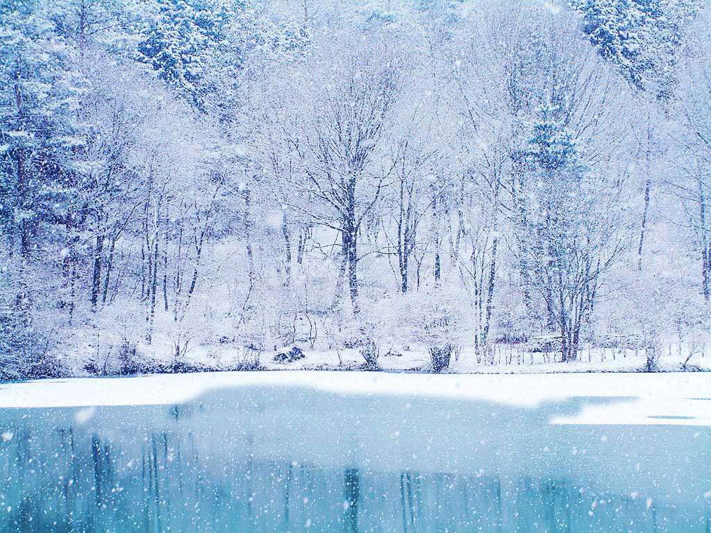 frozen lake, bare trees, soft blue winter sky, SD Desktop Wallpaper