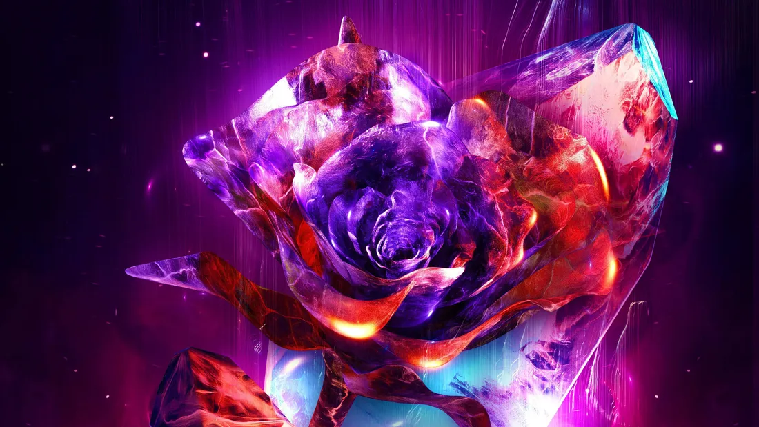 Beauty And The Beast Rose