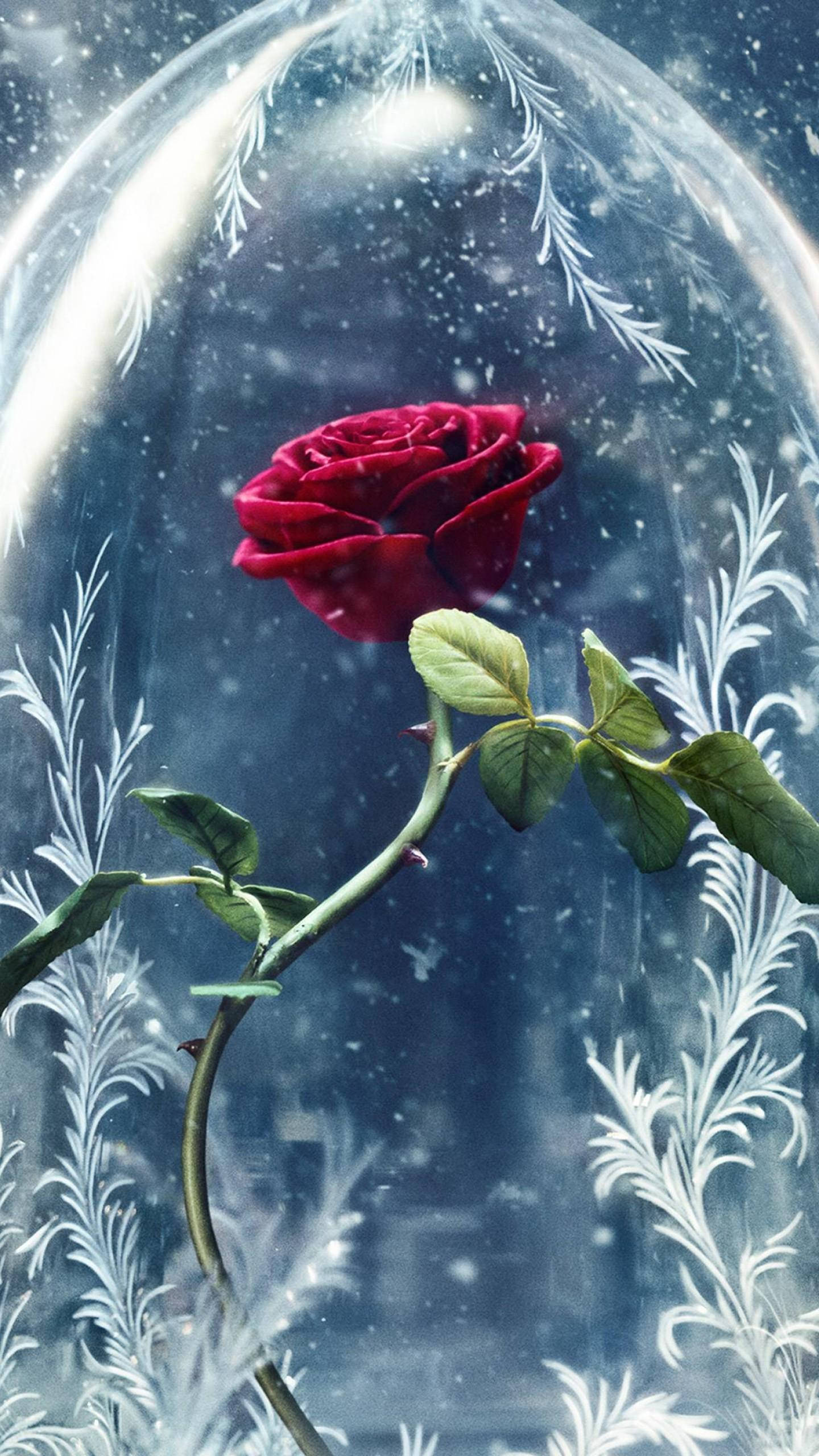 Beauty And The Beast Rose, snowy backdrop, glass dome, 2K Phone Wallpaper