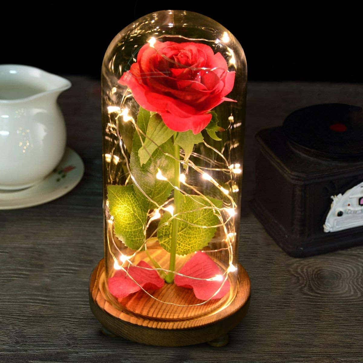Beauty And The Beast Rose, vibrant red rose, glass dome, SD Desktop Wallpaper
