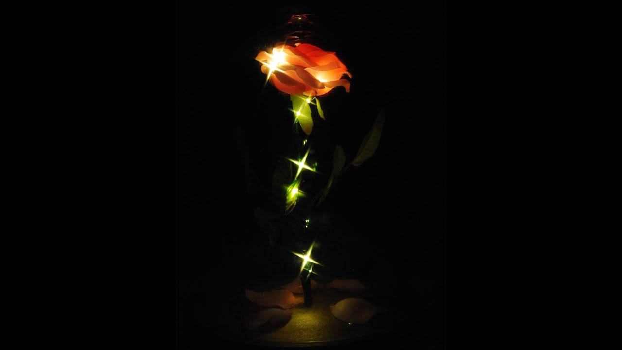Beauty And The Beast Rose, glowing red rose, sparkling lights, HD Desktop Wallpaper