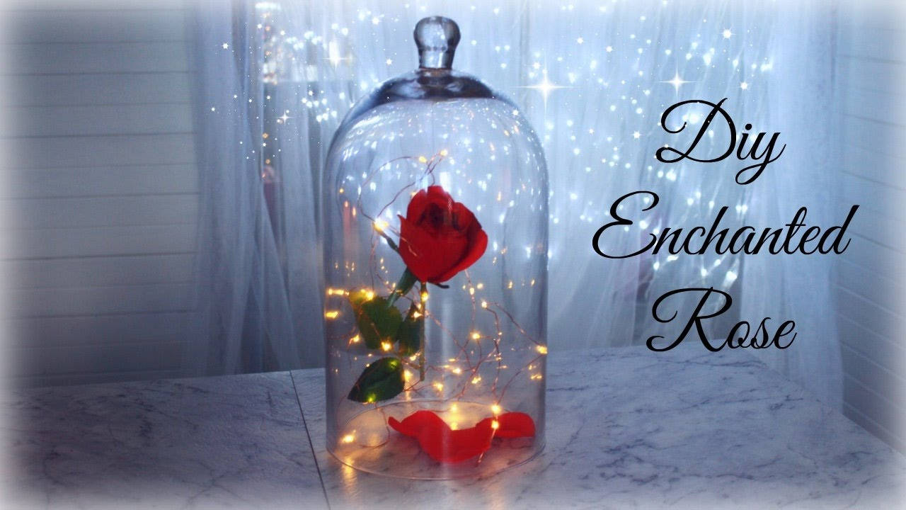 Beauty And The Beast Rose, red rose, glass dome, HD Desktop Wallpaper